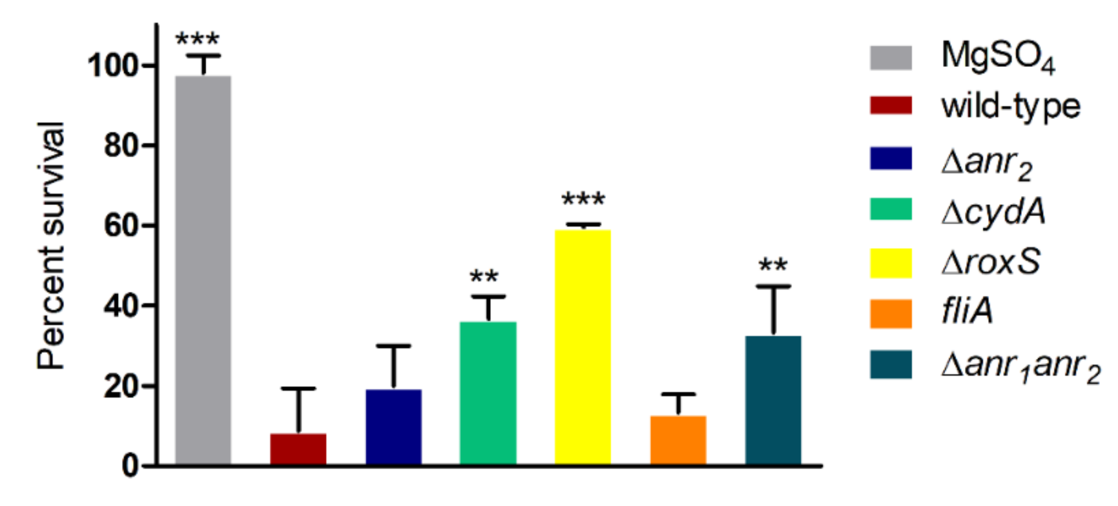 Ijms 23 04560 g005 Ijms 23 04560 g005
