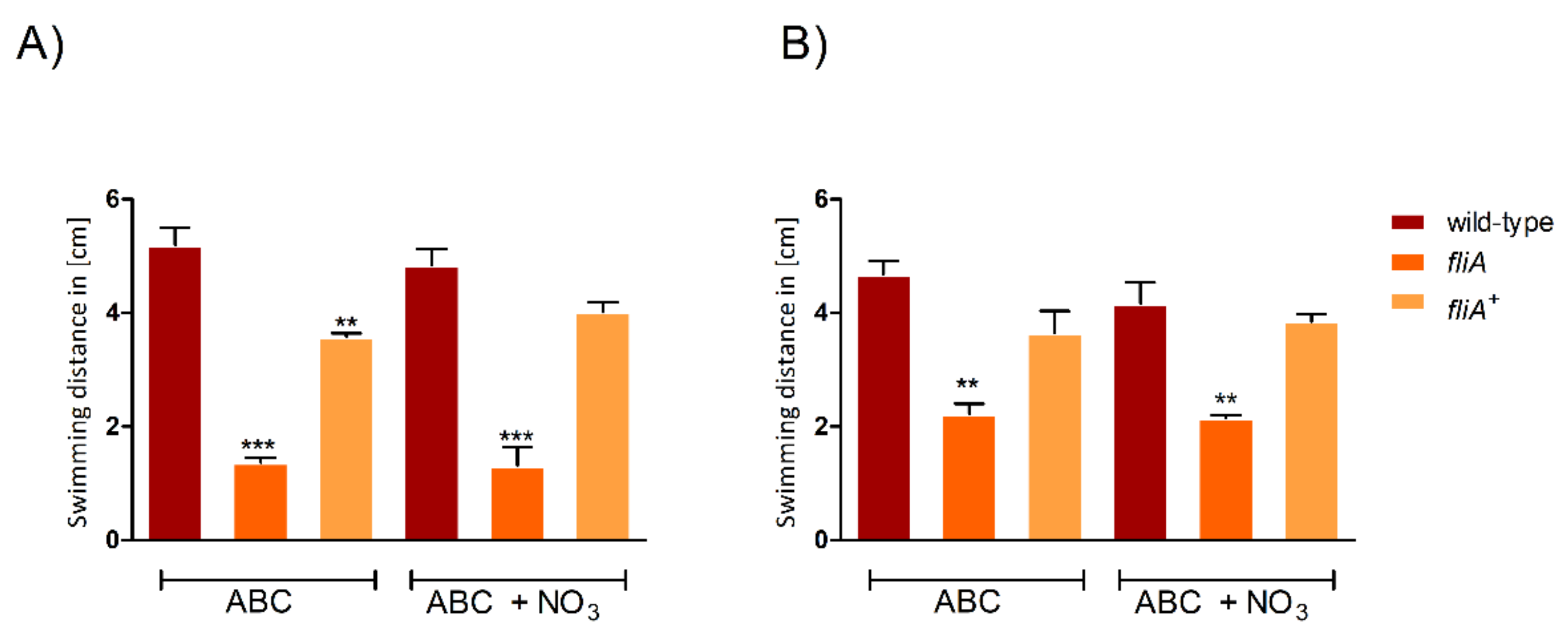 Ijms 23 04560 g007 Ijms 23 04560 g007