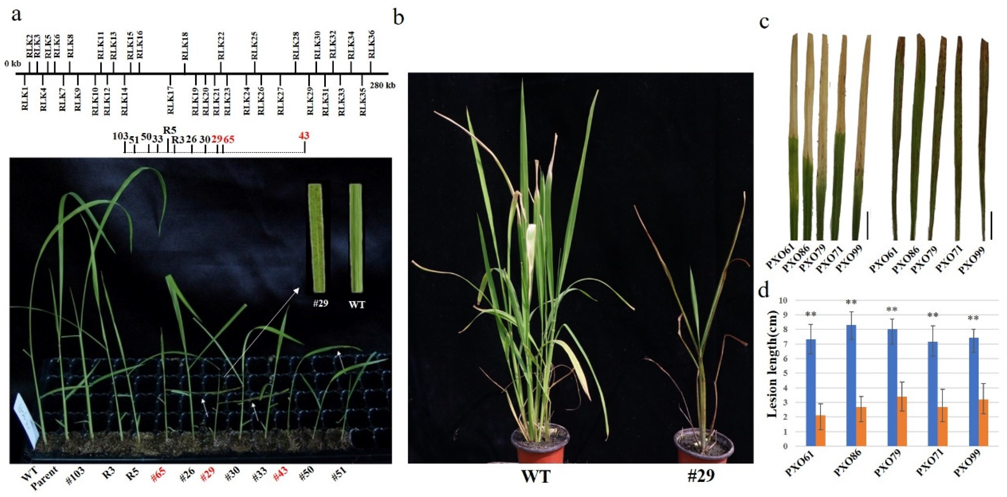 Ijms 23 04561 g002 Ijms 23 04561 g002