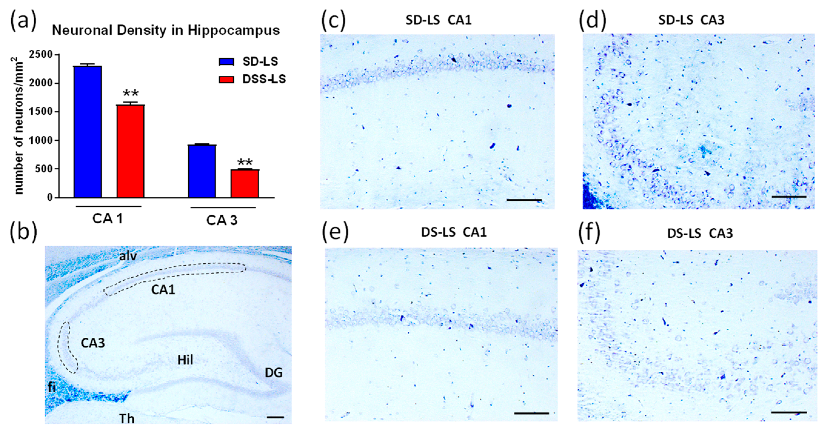 Ijms 23 04563 g003 Ijms 23 04563 g003
