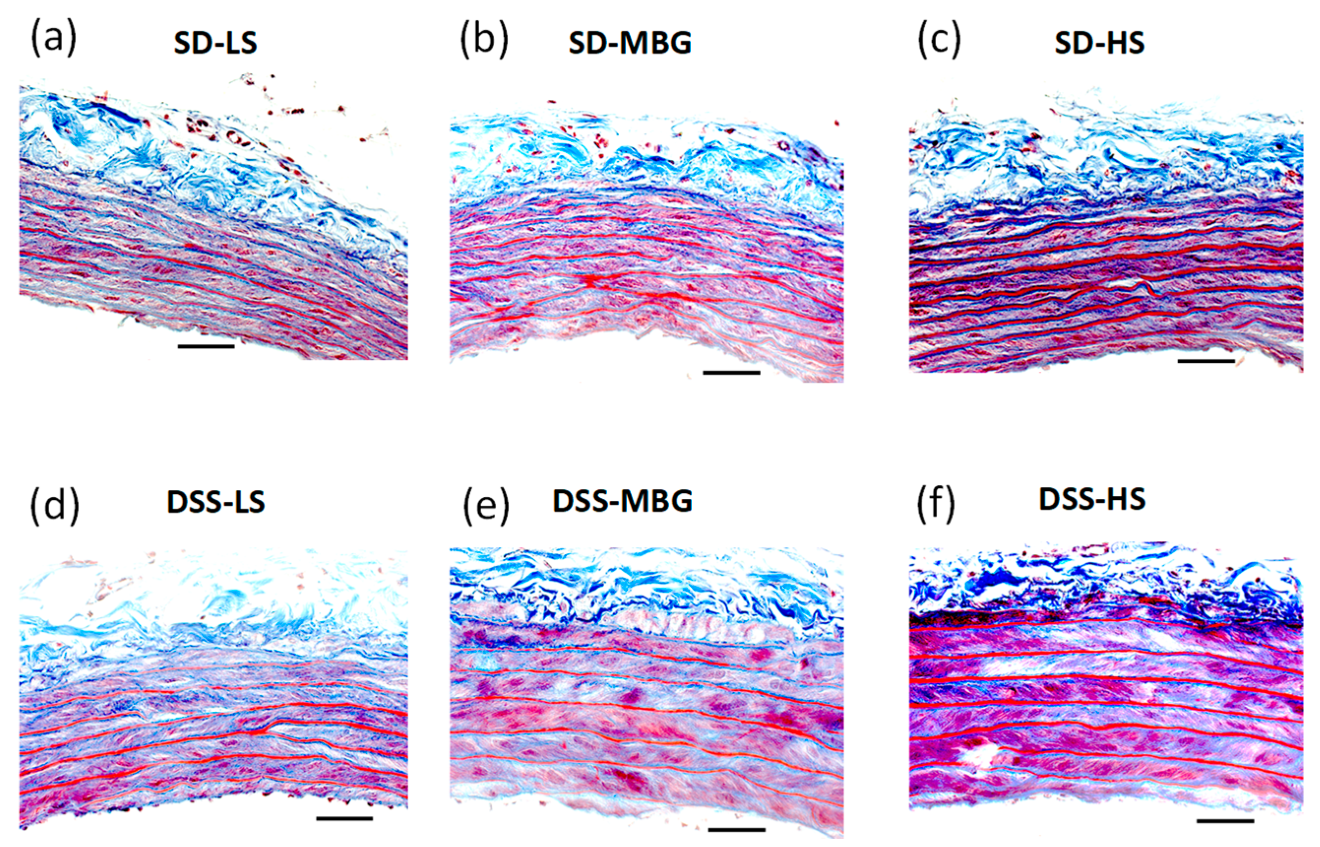 Ijms 23 04563 g005 Ijms 23 04563 g005