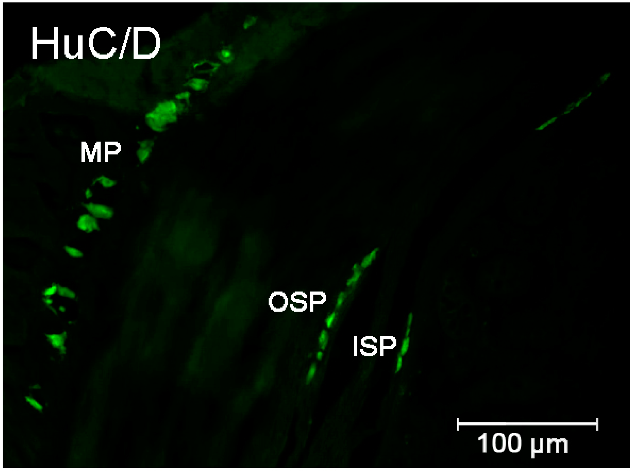Ijms 23 04564 g001 550