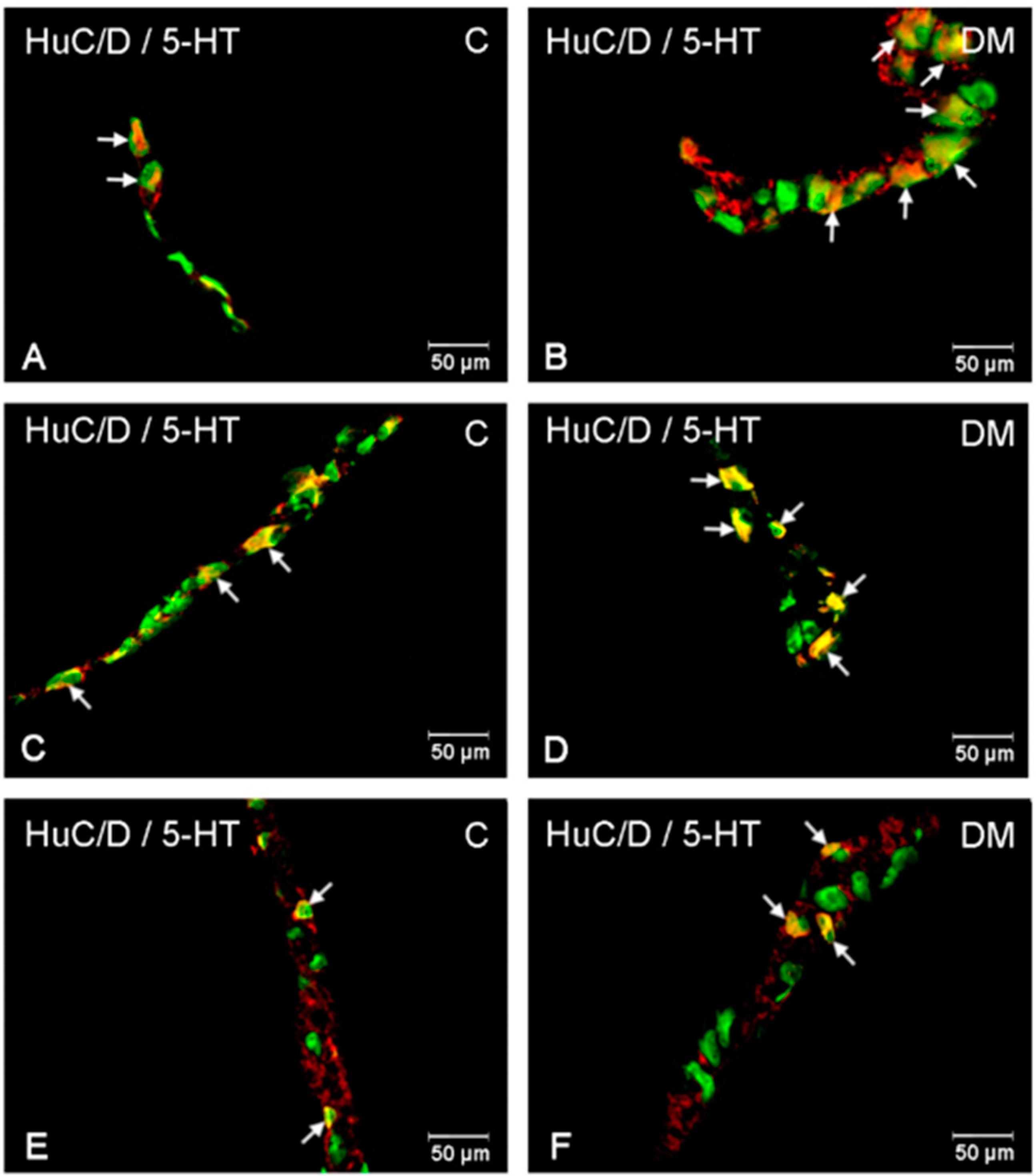 Ijms 23 04564 g004 550