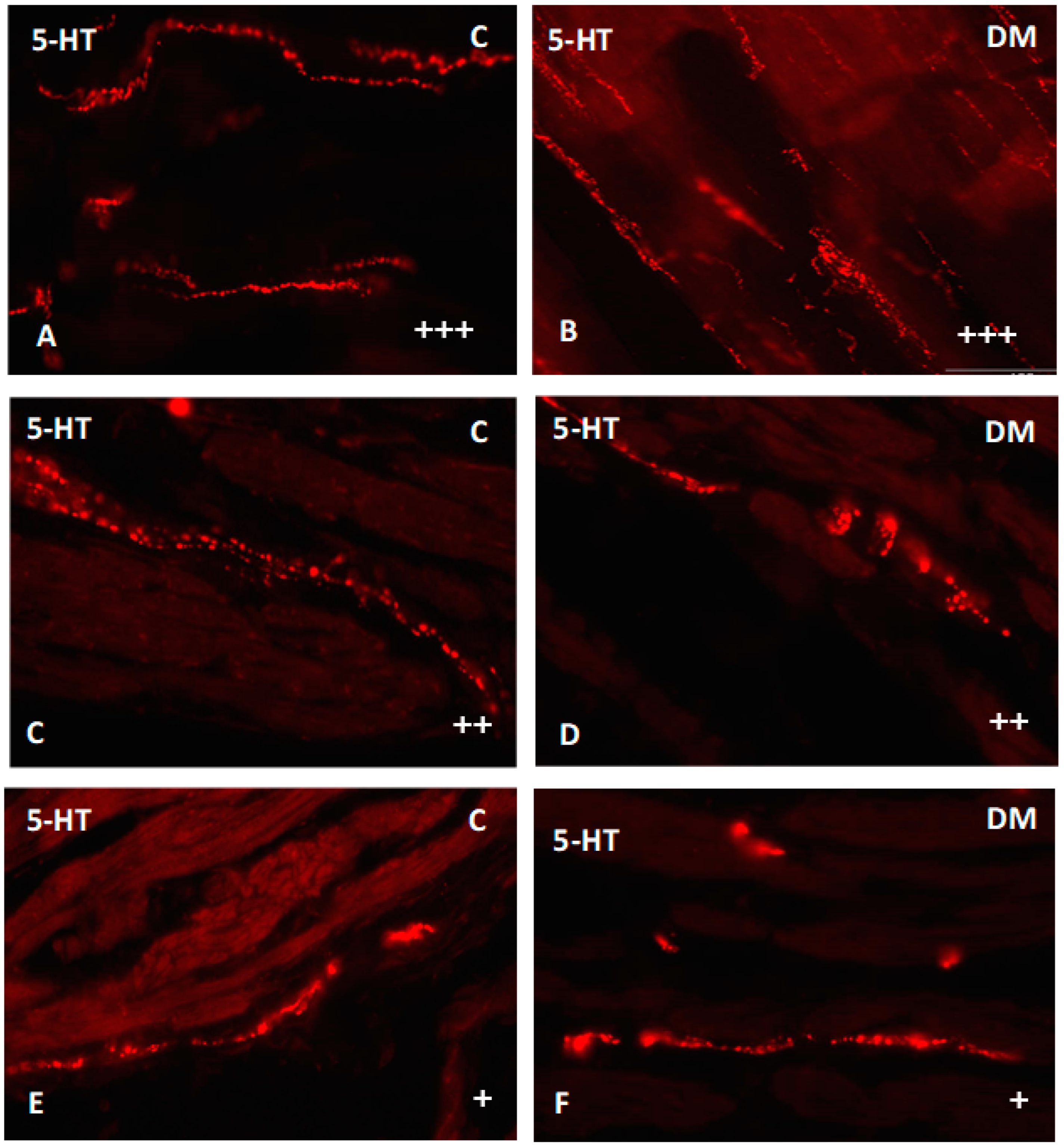 Ijms 23 04564 g009 550