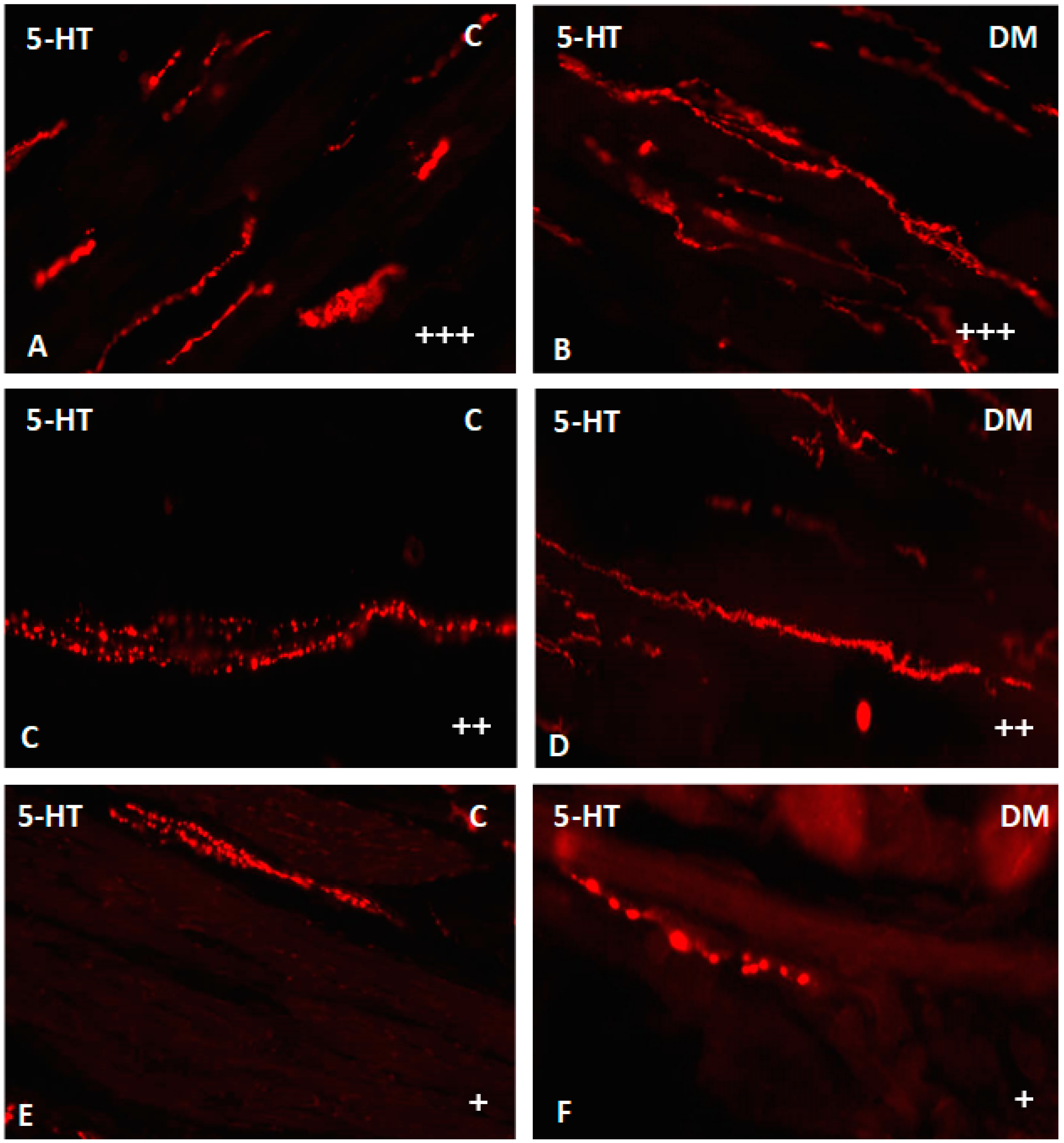 Ijms 23 04564 g010 550