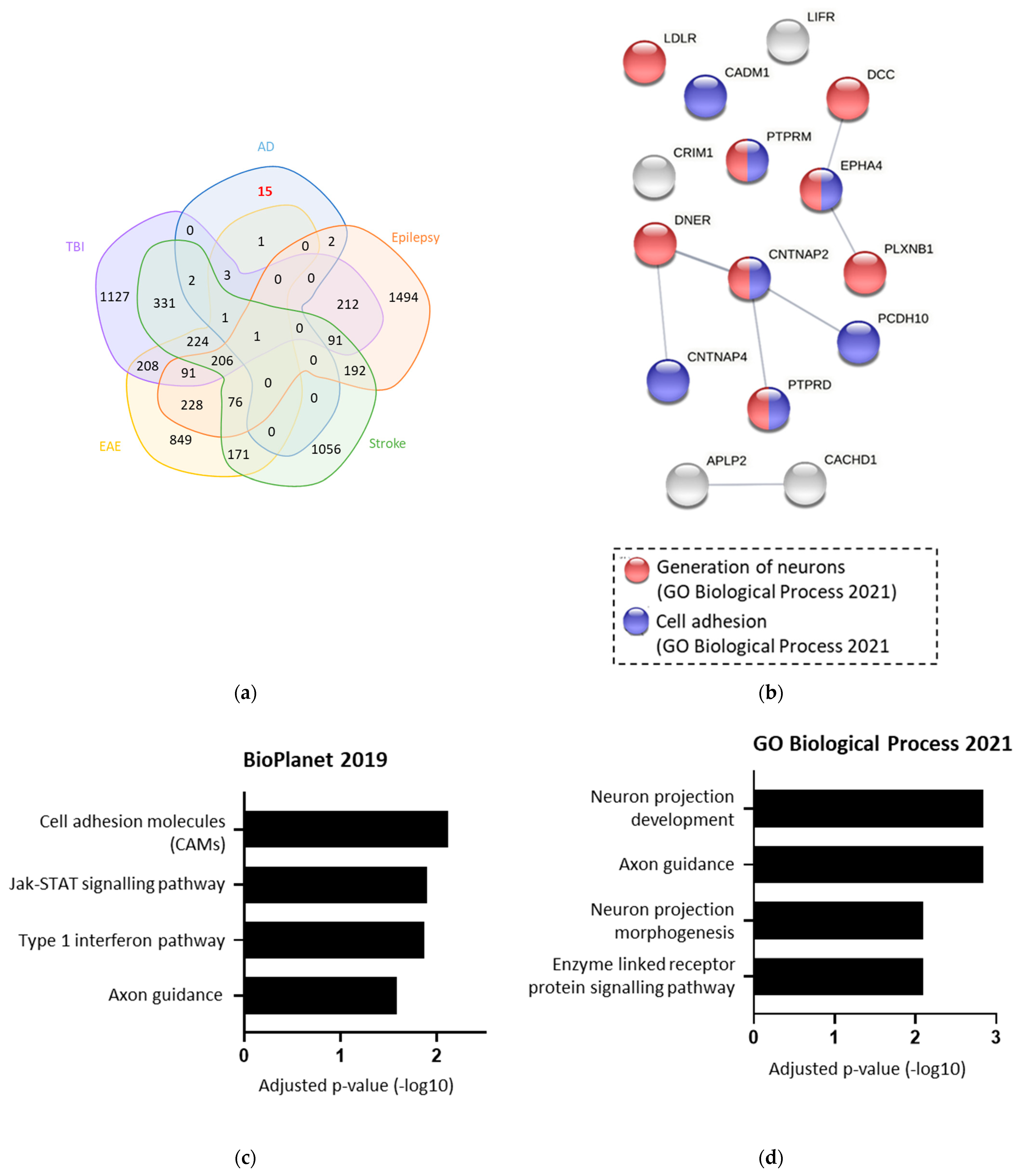 Ijms 23 04568 g005 Ijms 23 04568 g005