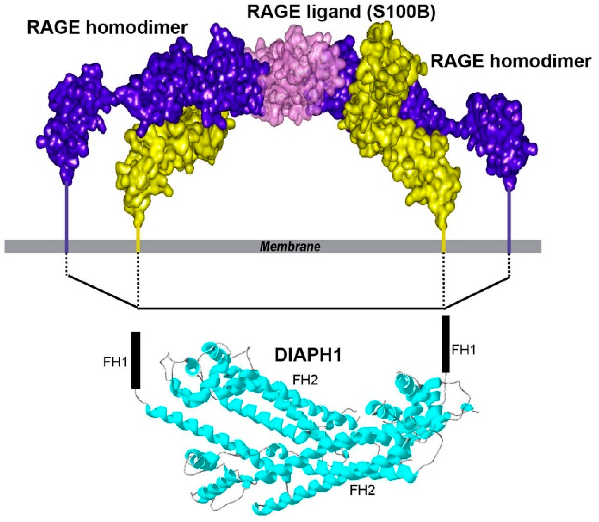 Ijms 23 04579 g001 550