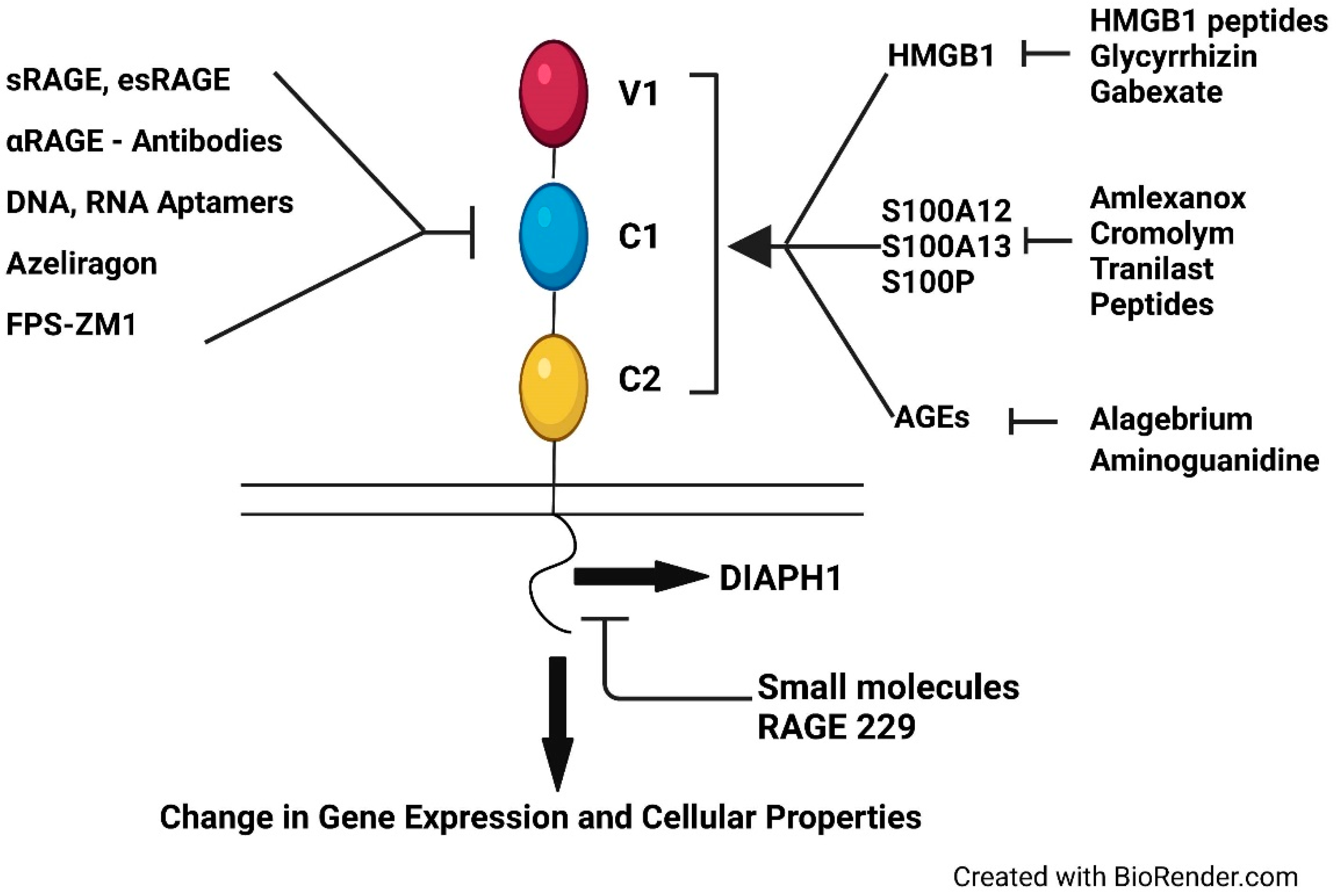 Ijms 23 04579 g002 550