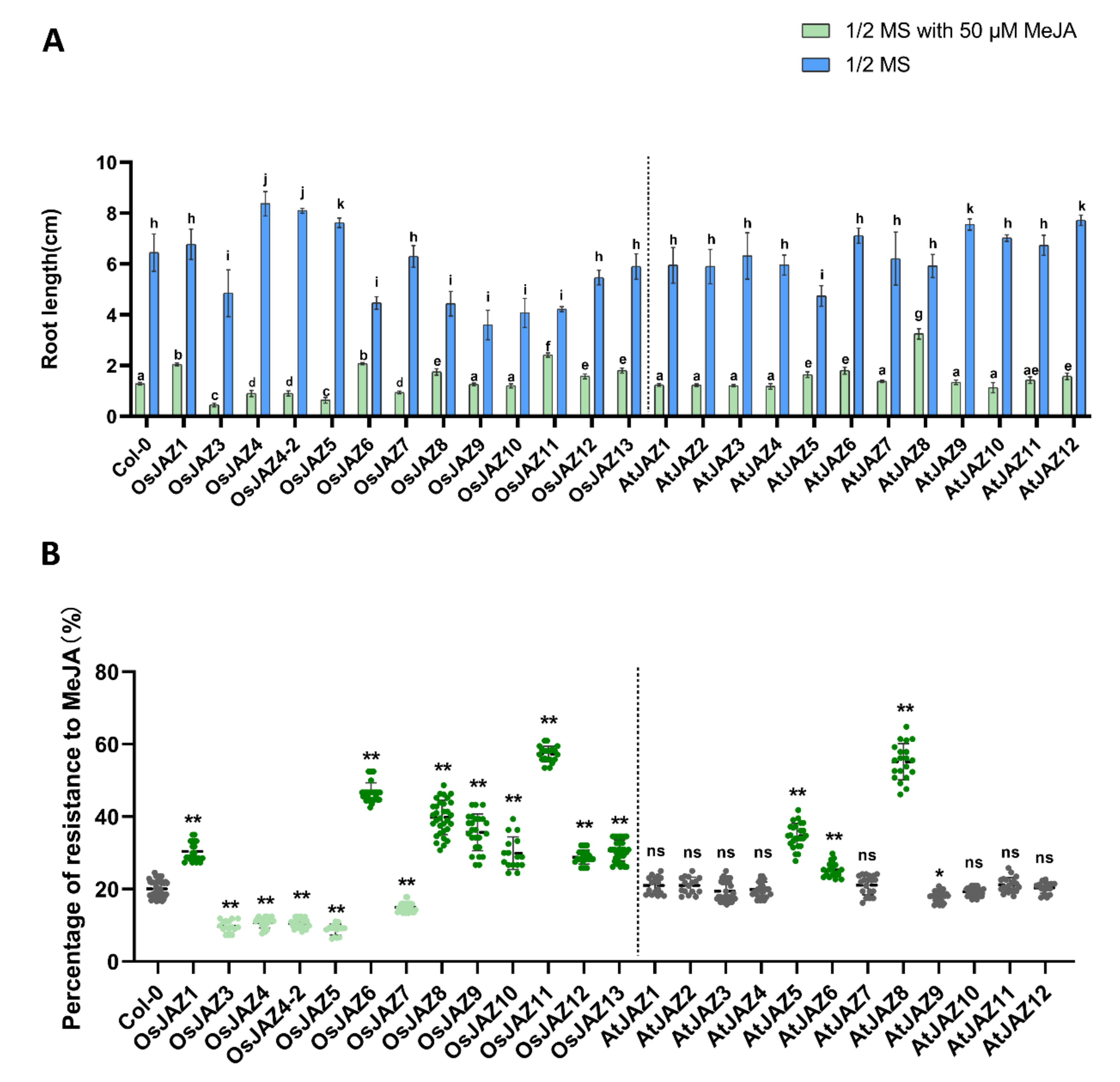 Ijms 23 04581 g002 Ijms 23 04581 g002