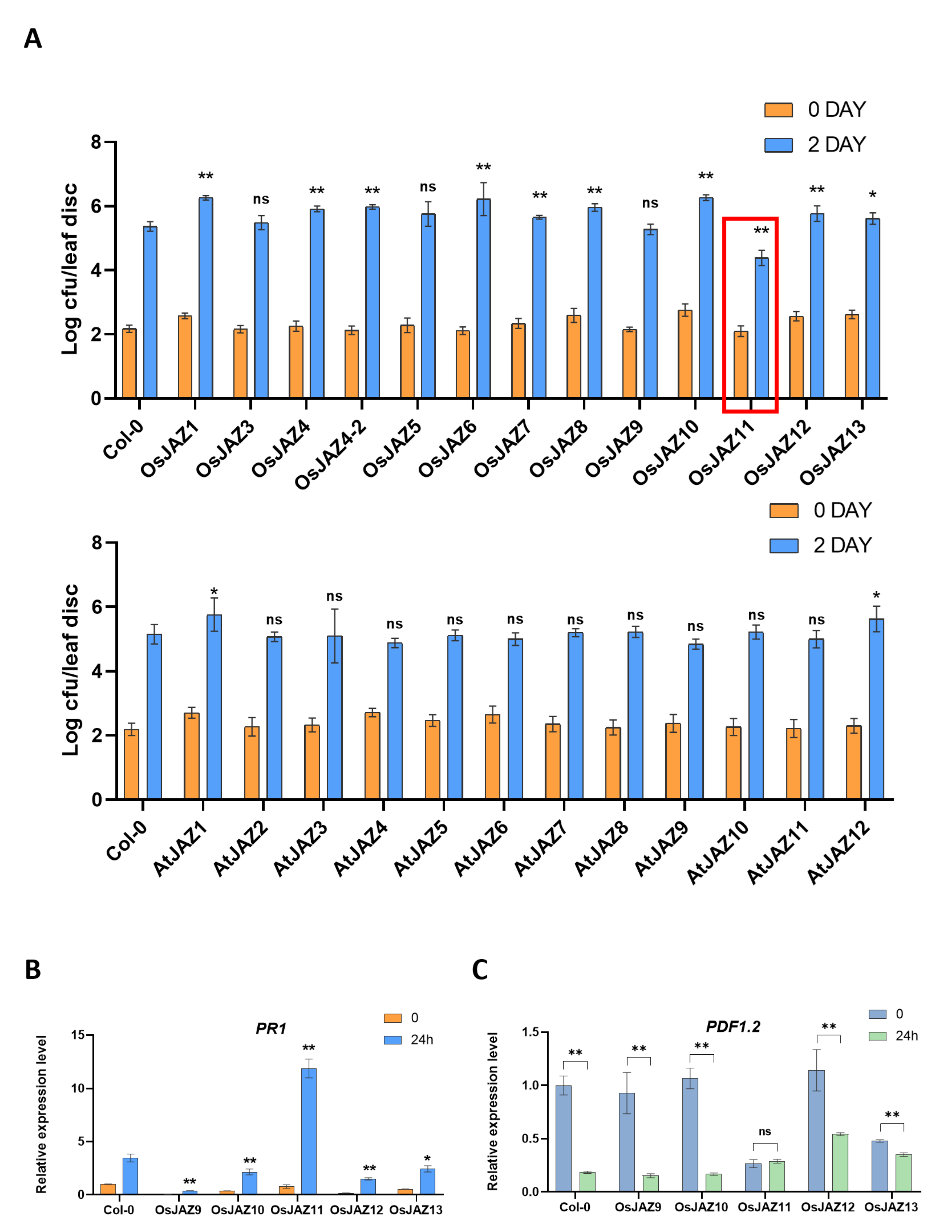 Ijms 23 04581 g003 Ijms 23 04581 g003