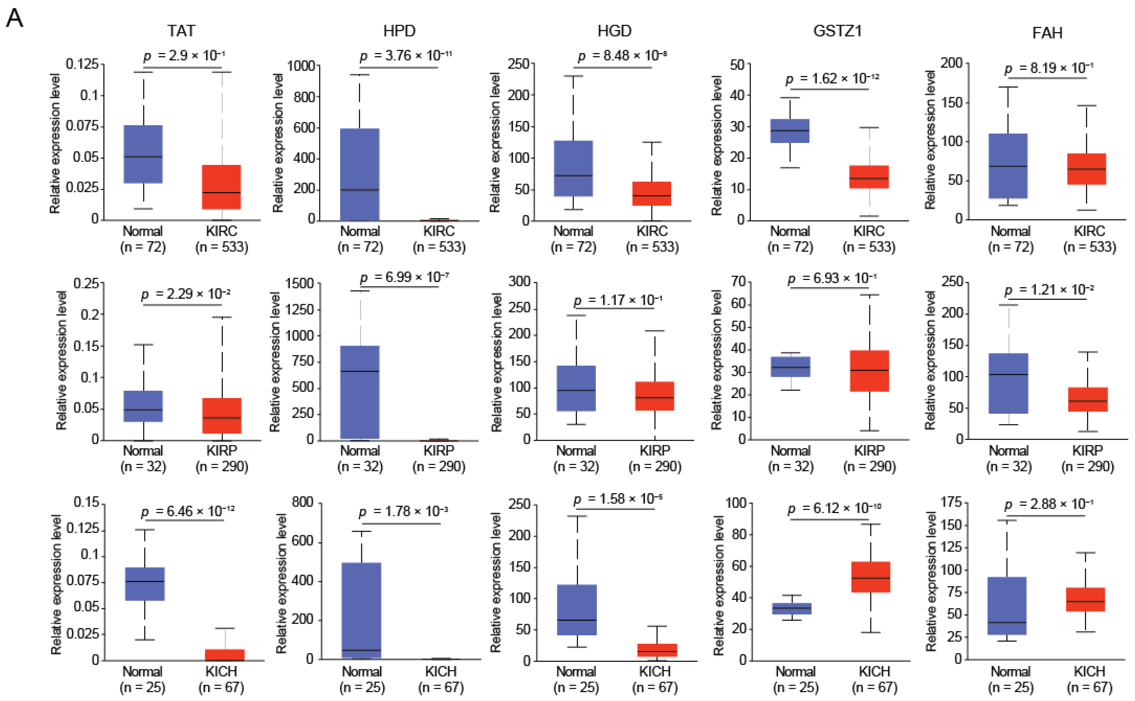 Ijms 23 04583 g001a Ijms 23 04583 g001a