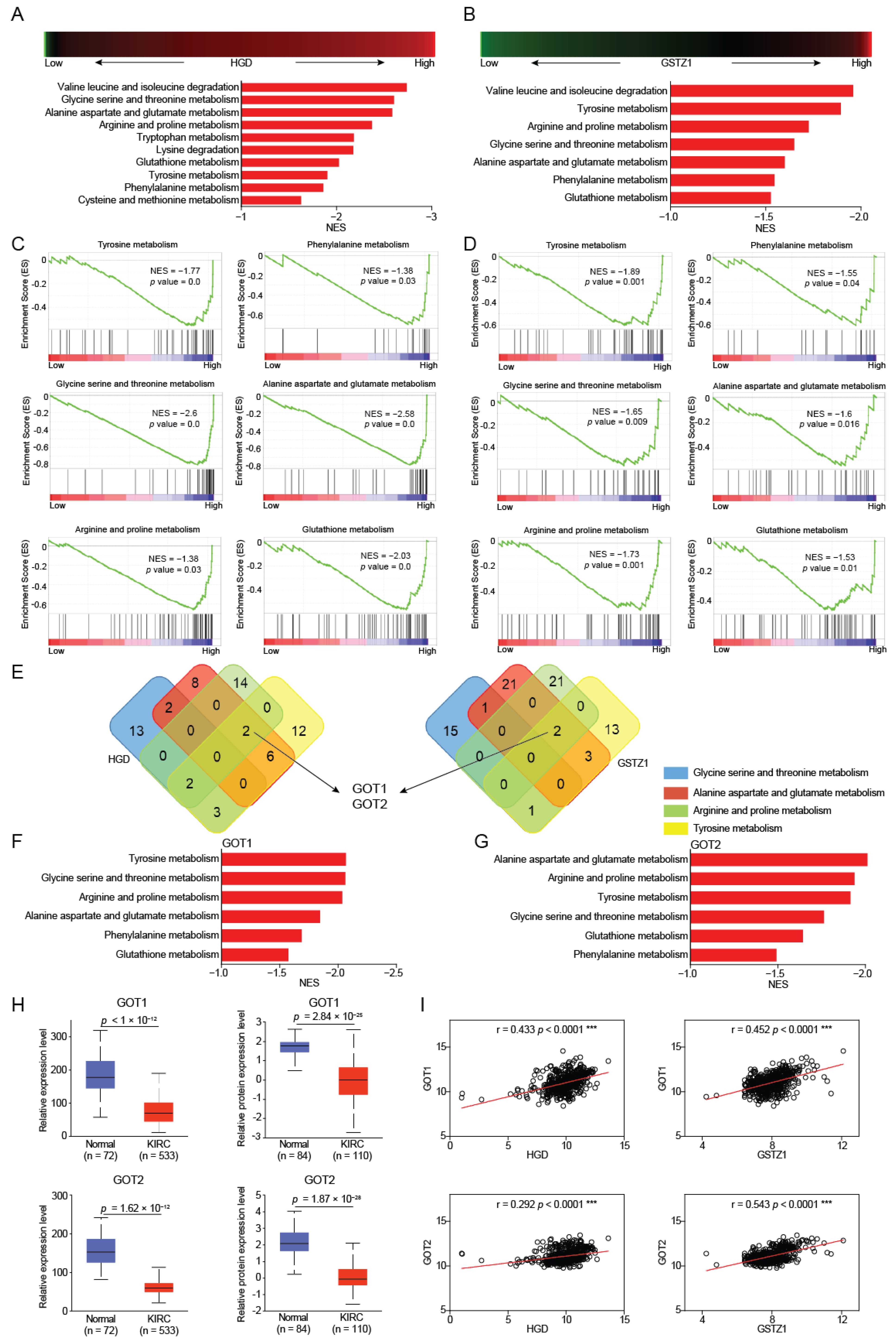 Ijms 23 04583 g002 Ijms 23 04583 g002