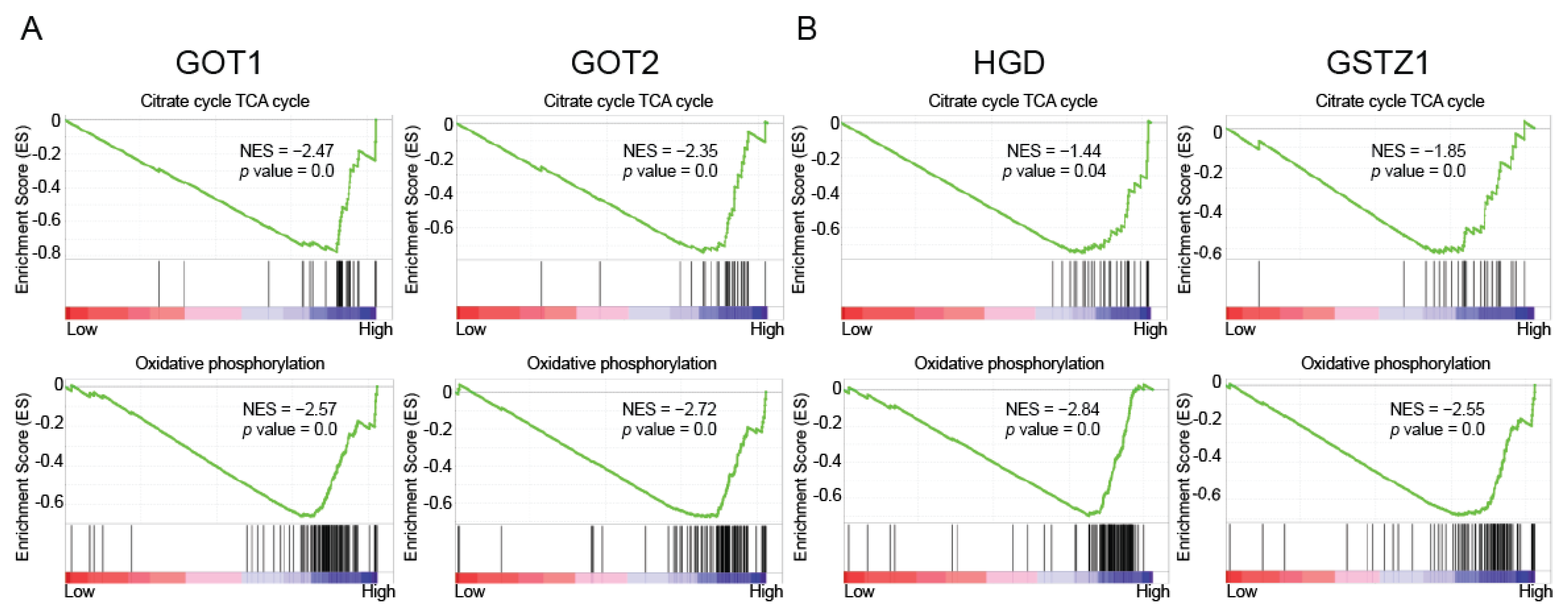 Ijms 23 04583 g003a Ijms 23 04583 g003a