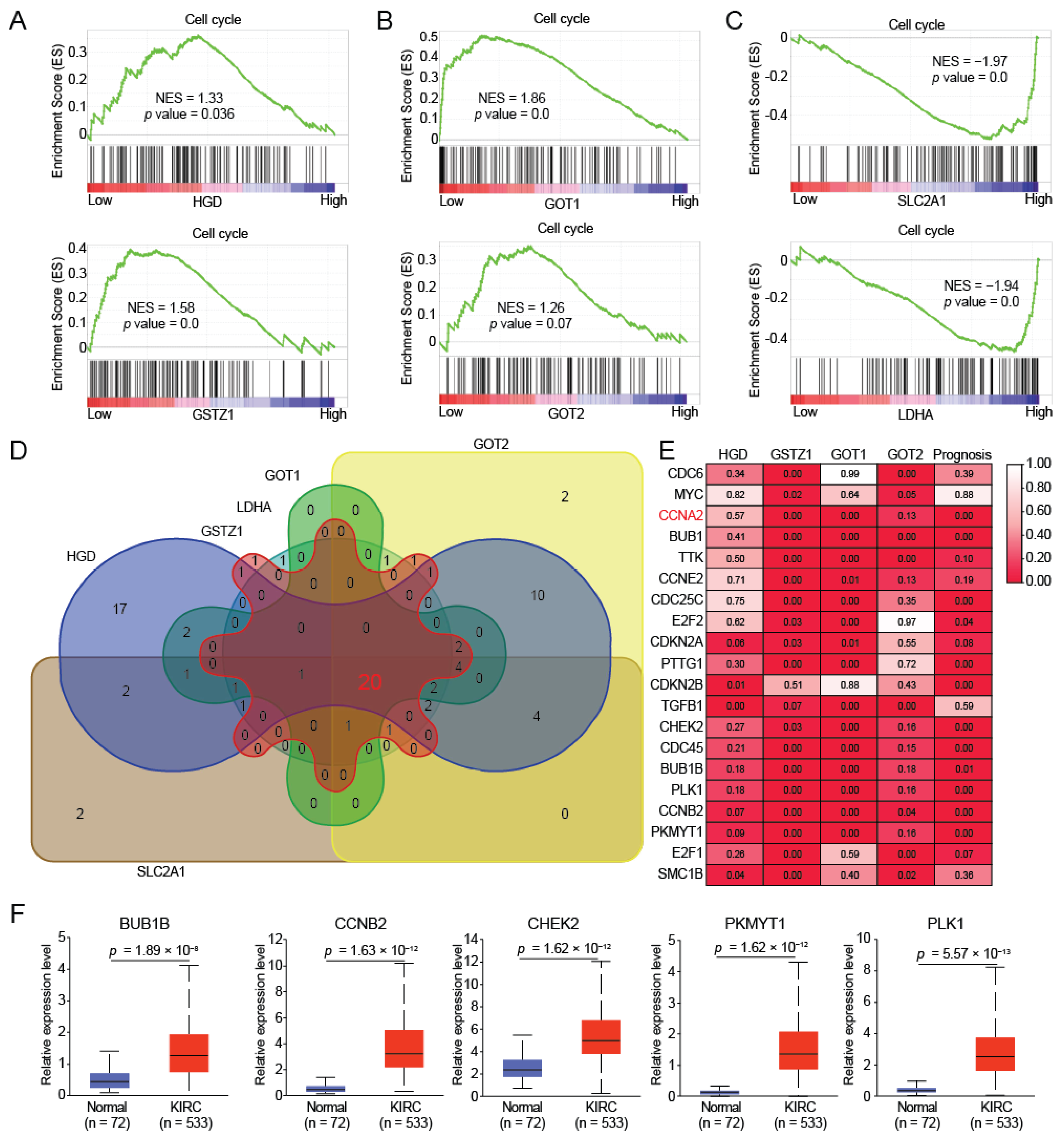 Ijms 23 04583 g004 Ijms 23 04583 g004