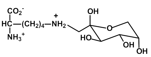 Ijms 23 04584 i001 Ijms 23 04584 i001