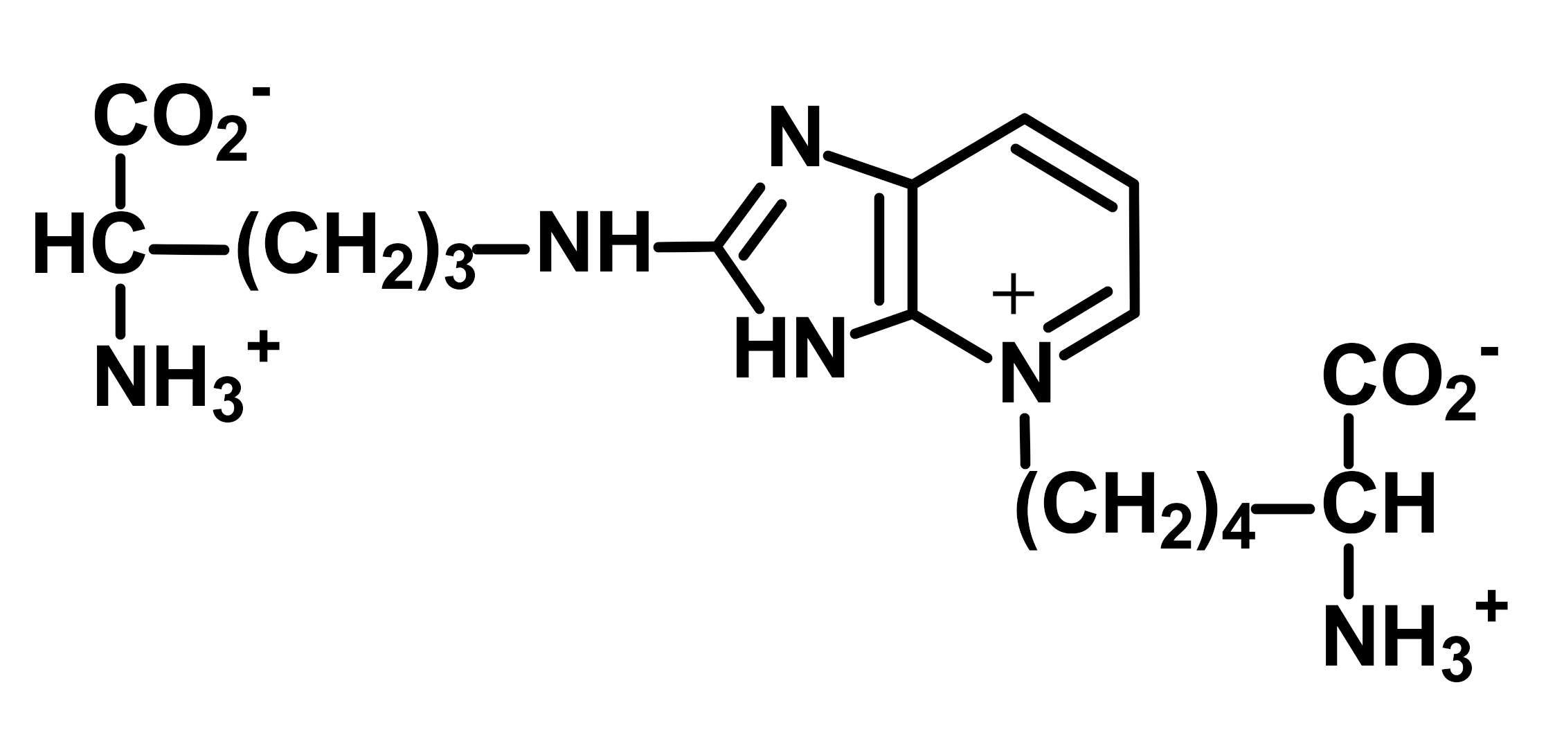Ijms 23 04584 i005 Ijms 23 04584 i005