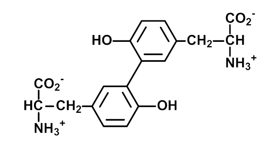 Ijms 23 04584 i010 Ijms 23 04584 i010