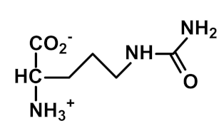 Ijms 23 04584 i013 Ijms 23 04584 i013