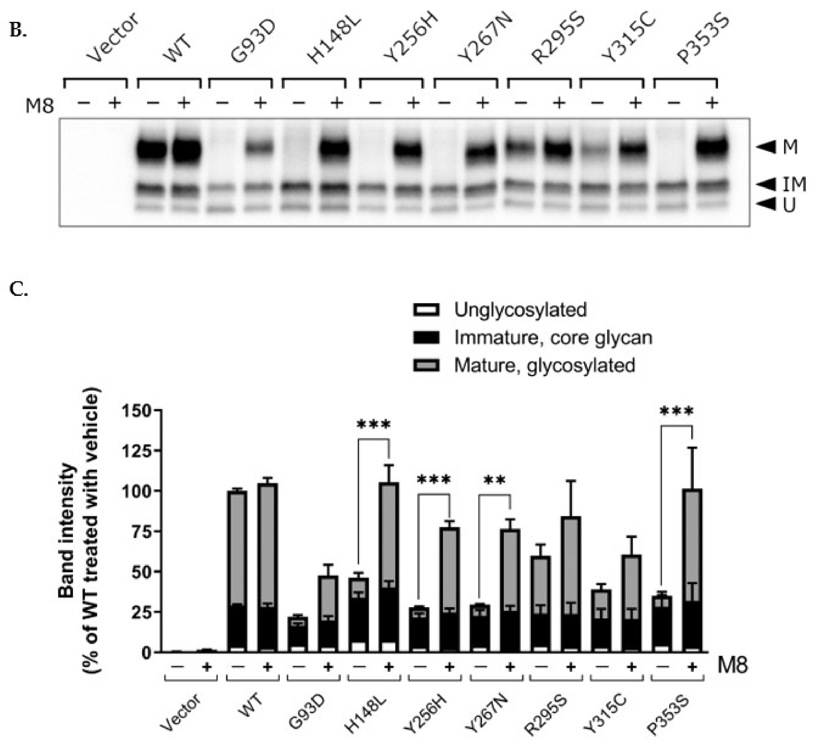 Ijms 23 04587 g005b Ijms 23 04587 g005b