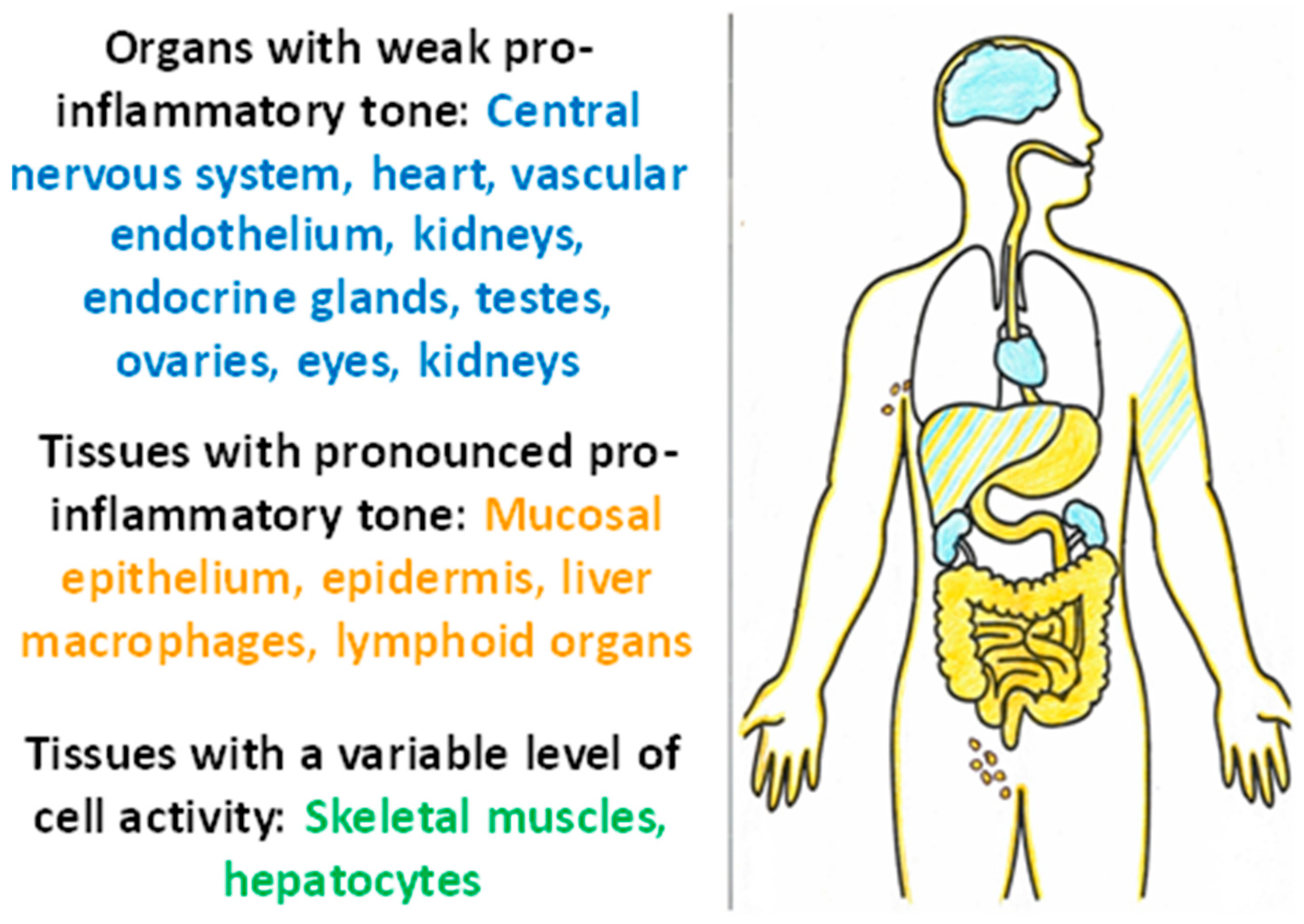Ijms 23 04596 g005 550
