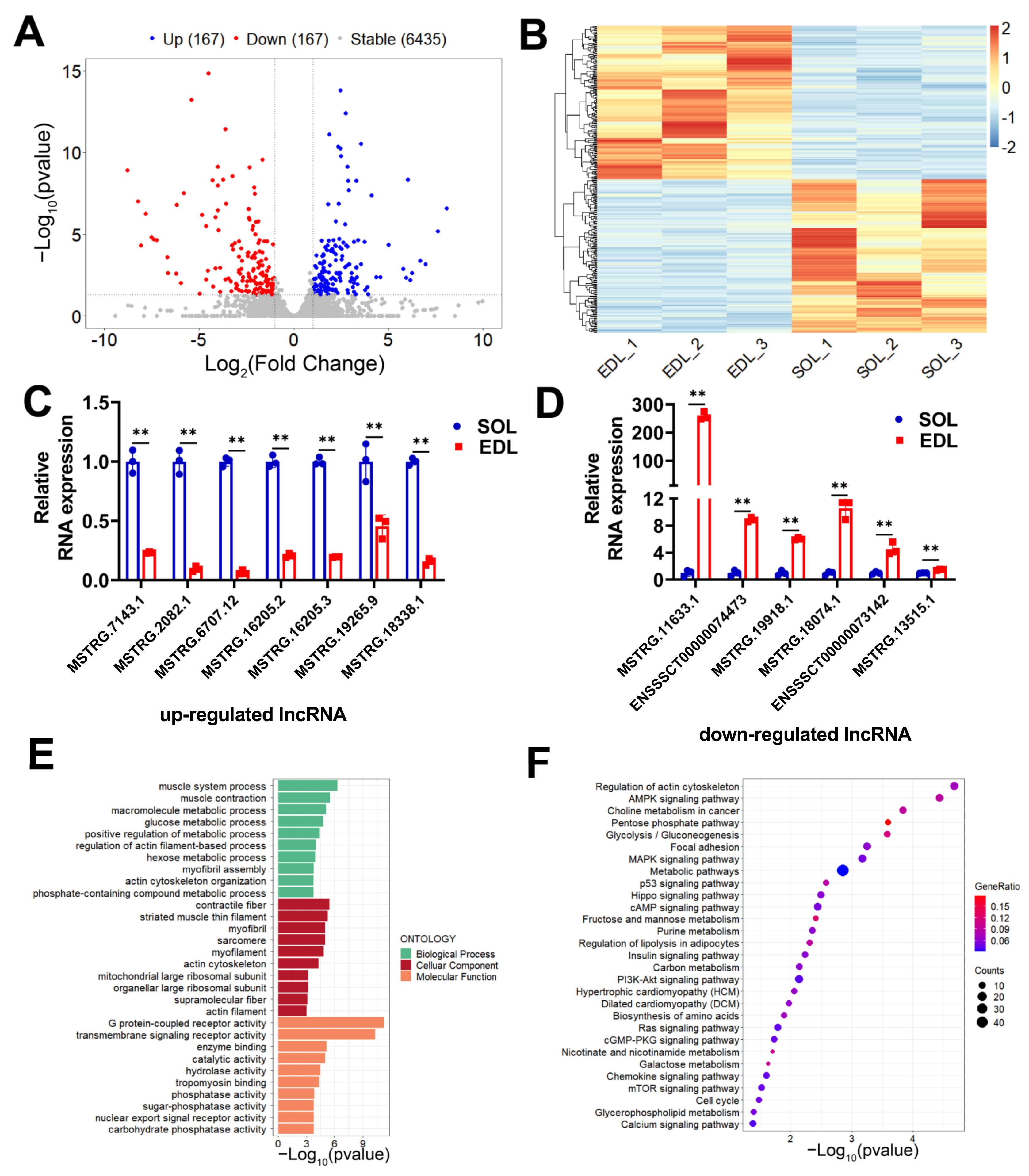 Ijms 23 04600 g003 550