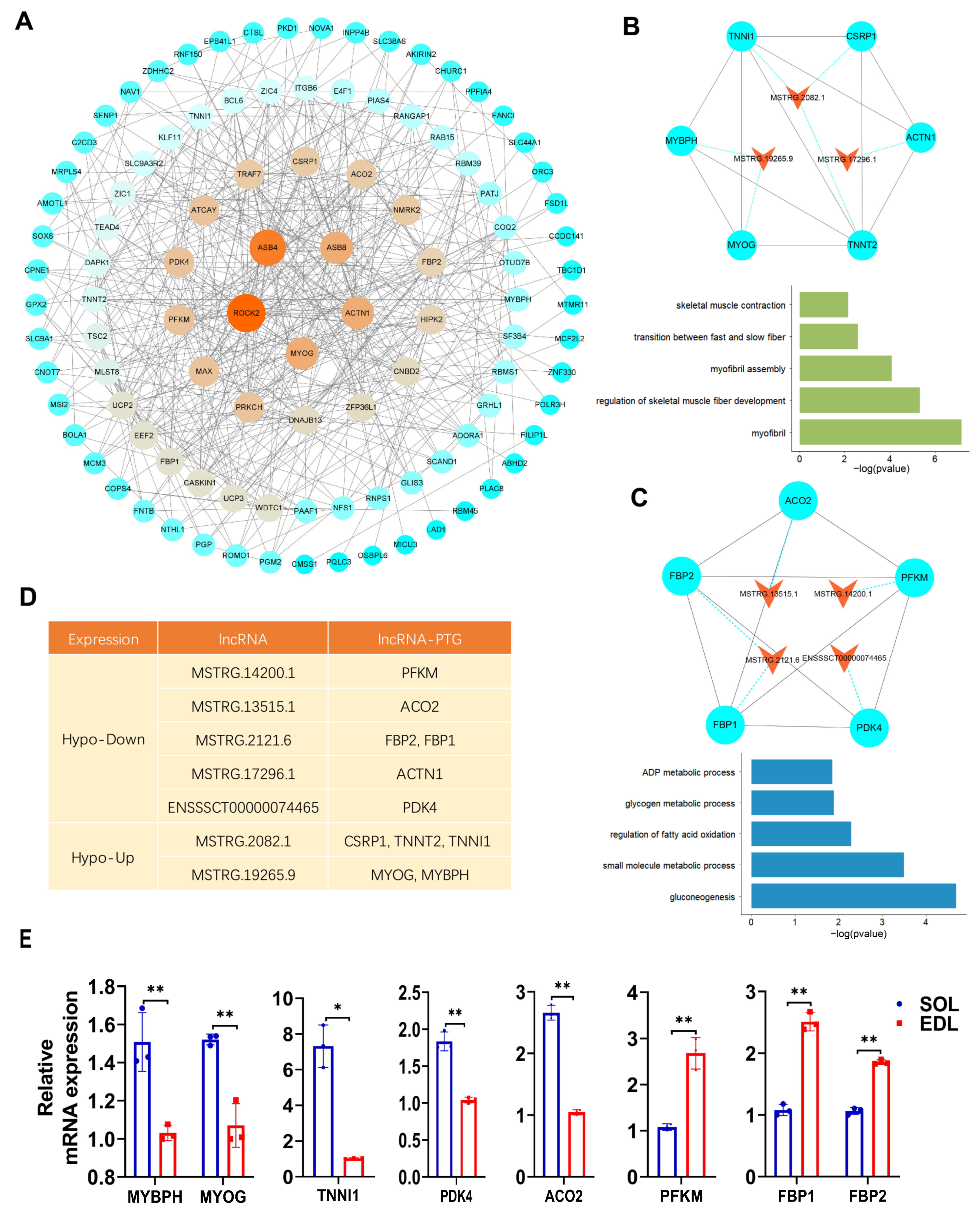 Ijms 23 04600 g007 550