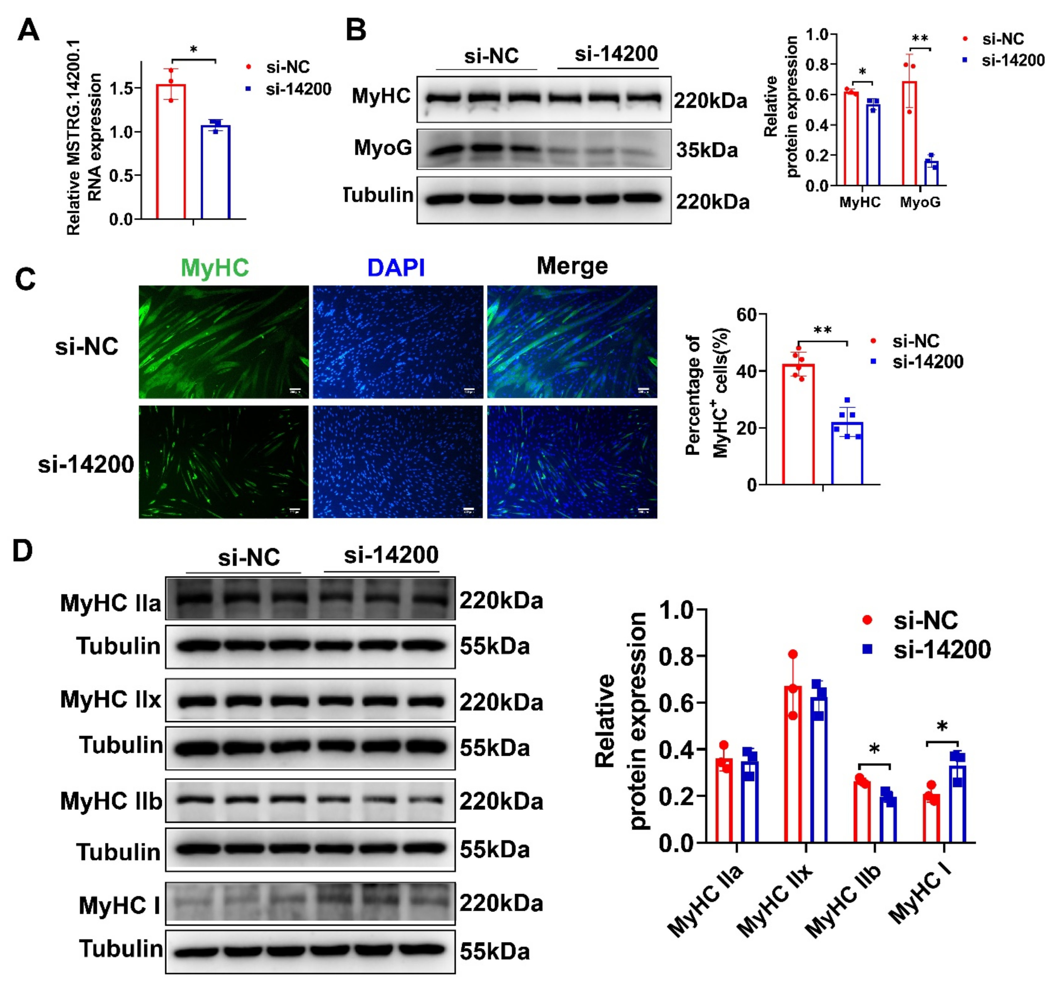 Ijms 23 04600 g008 550