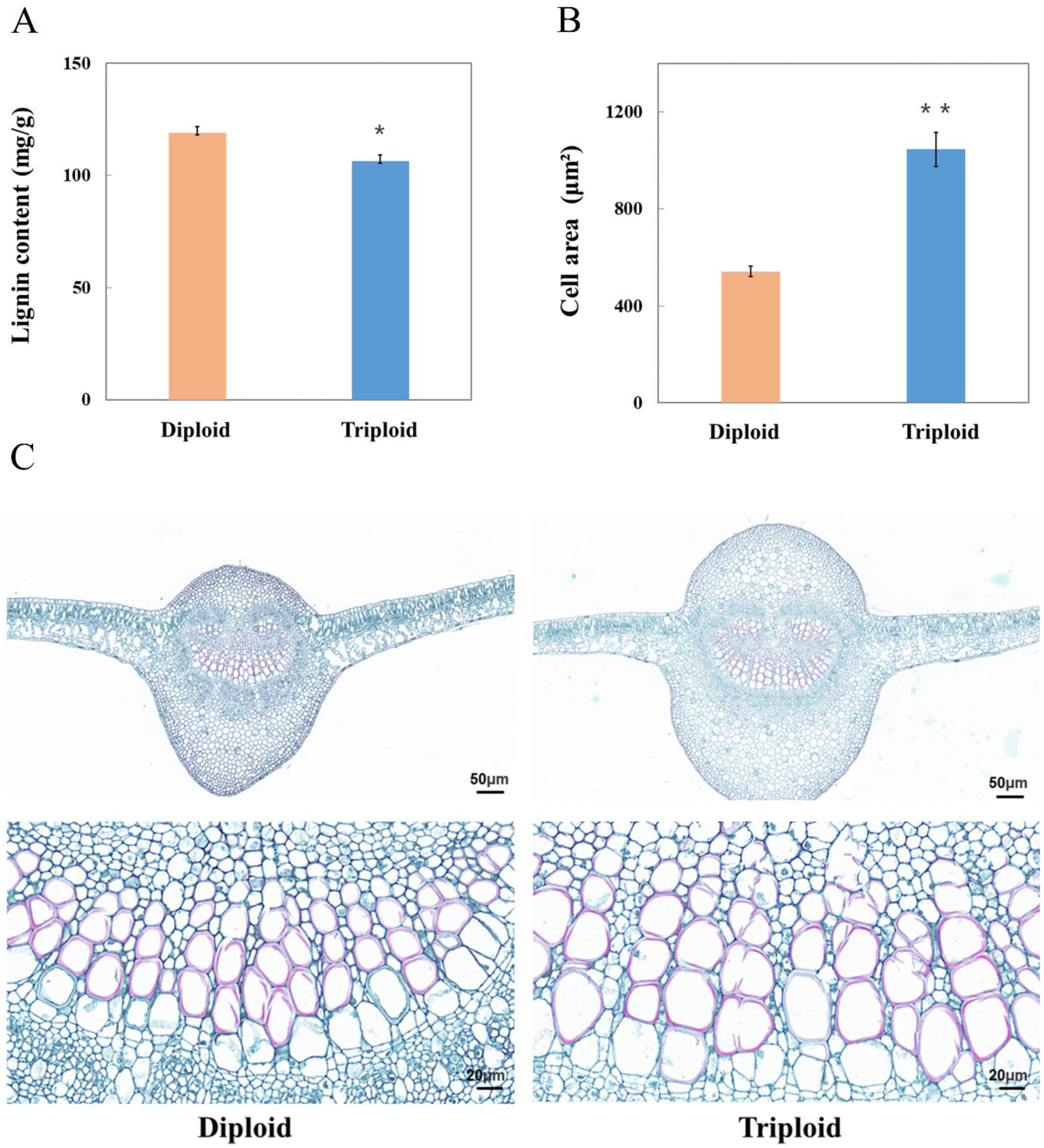 Ijms 23 04603 g001 550