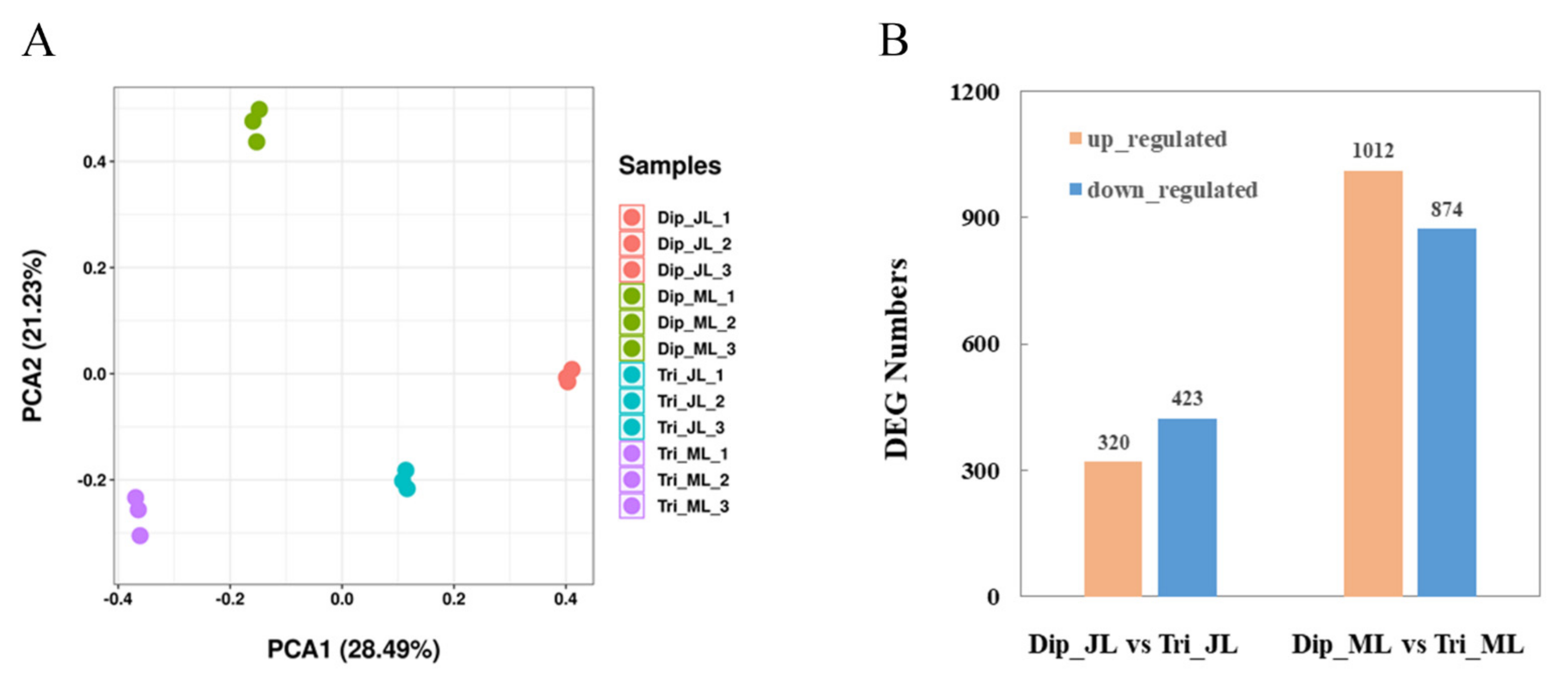 Ijms 23 04603 g002 550