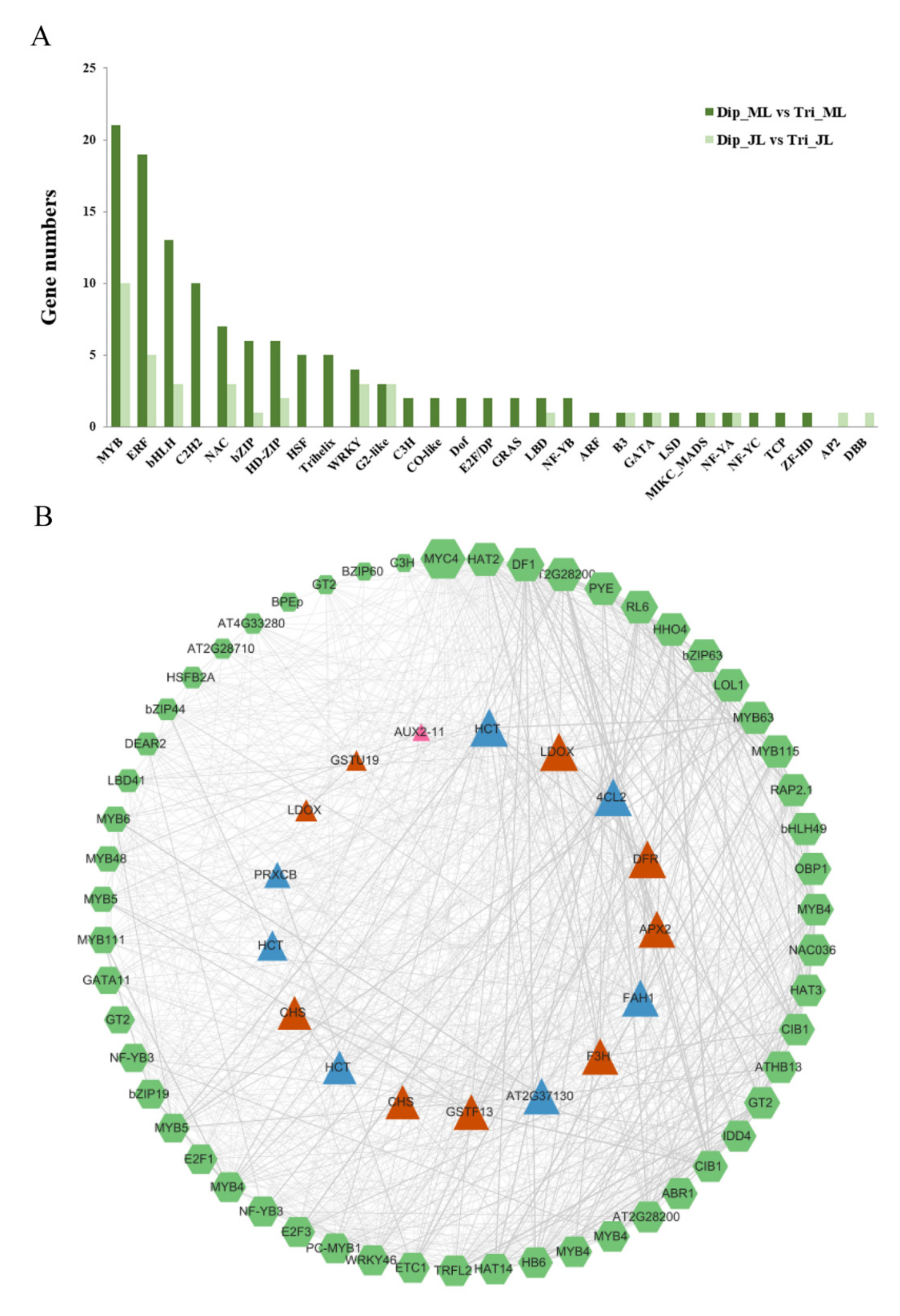 Ijms 23 04603 g006 550