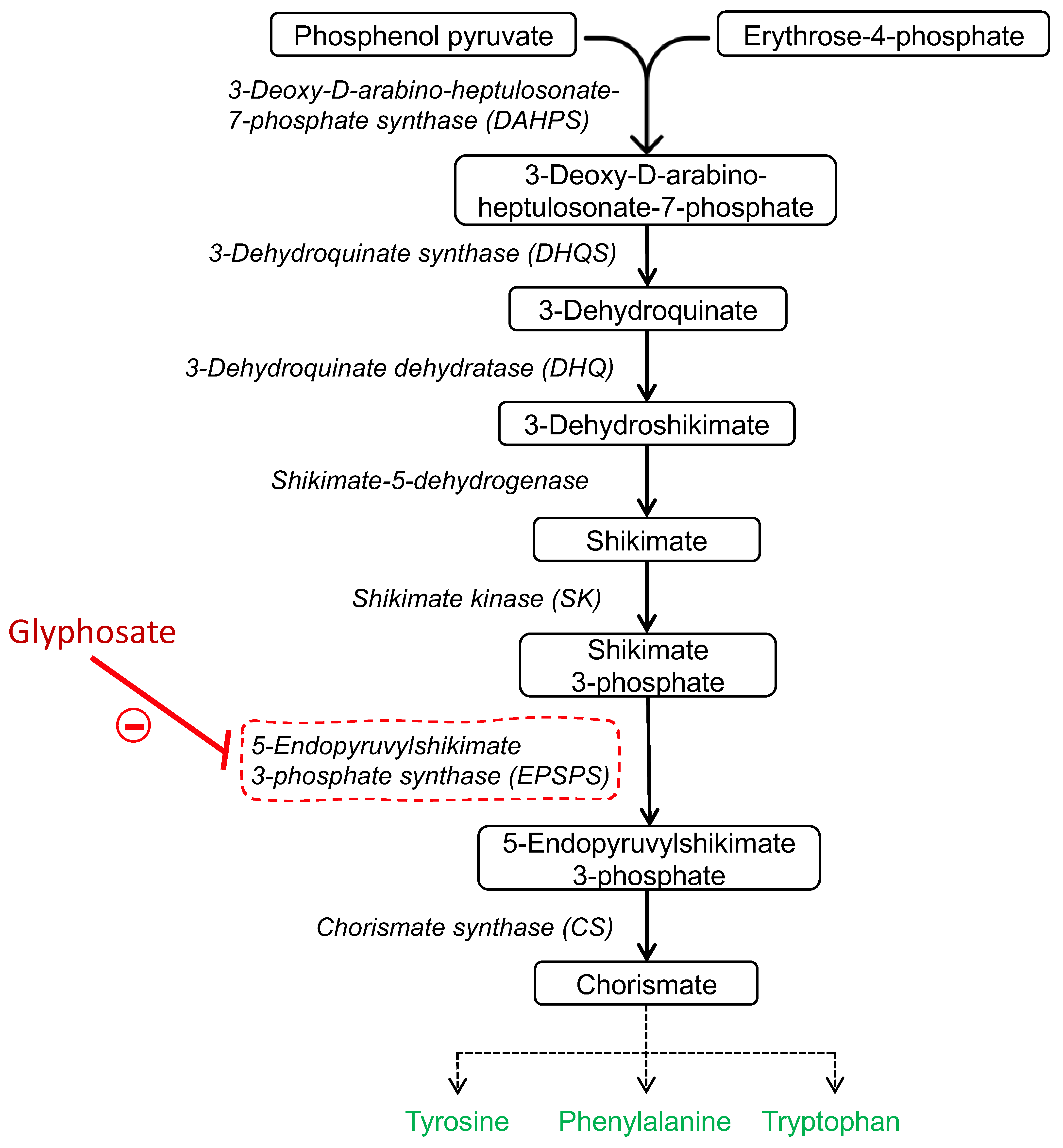 Is Glyphosate Toxic for Humans and Animals? - Join the Many