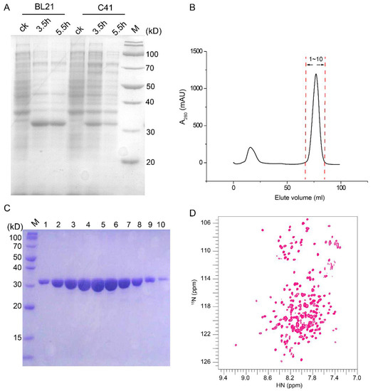 NMR Characterization of Long-Chain Fatty Acylcarnitine Binding to the  Mitochondrial Carnitine/Acylcarnitine Carrier