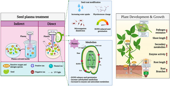 Ijms 23 04609 g002 550