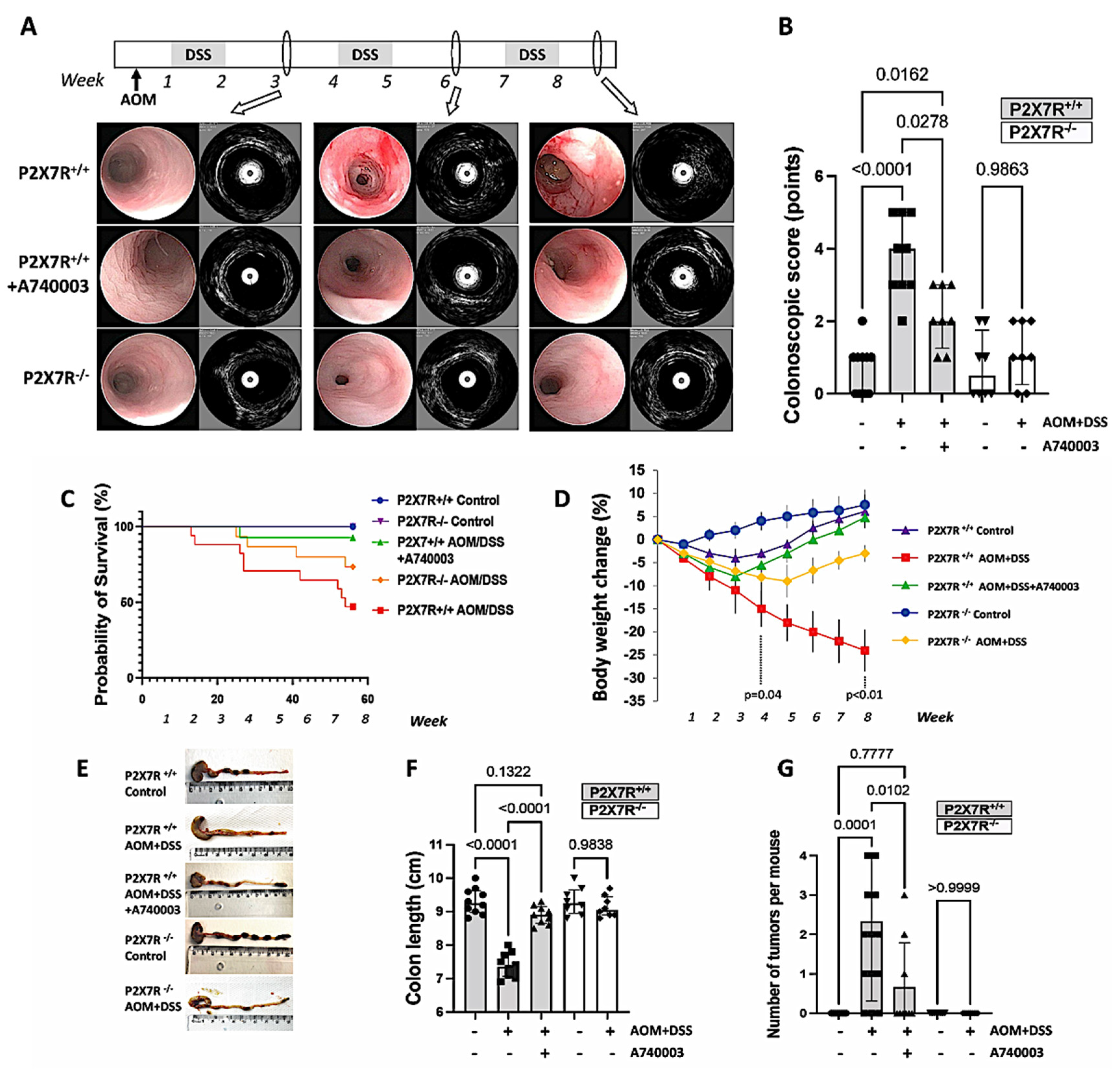 Ijms 23 04616 g001 550