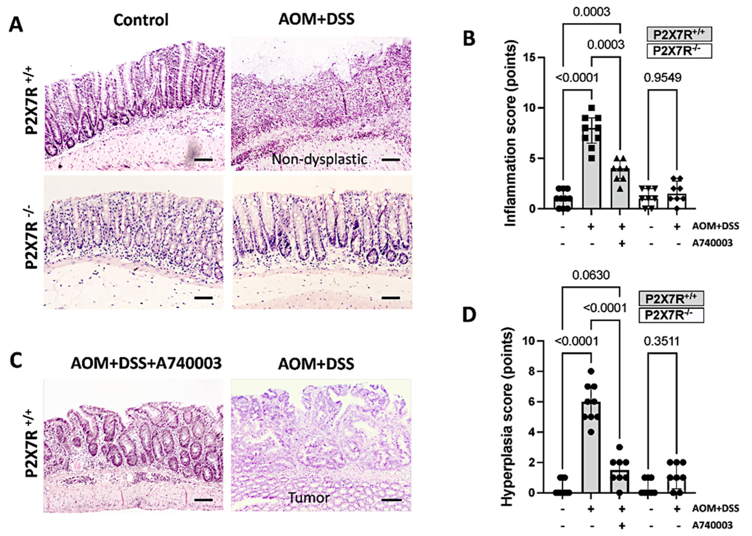 Ijms 23 04616 g002 550