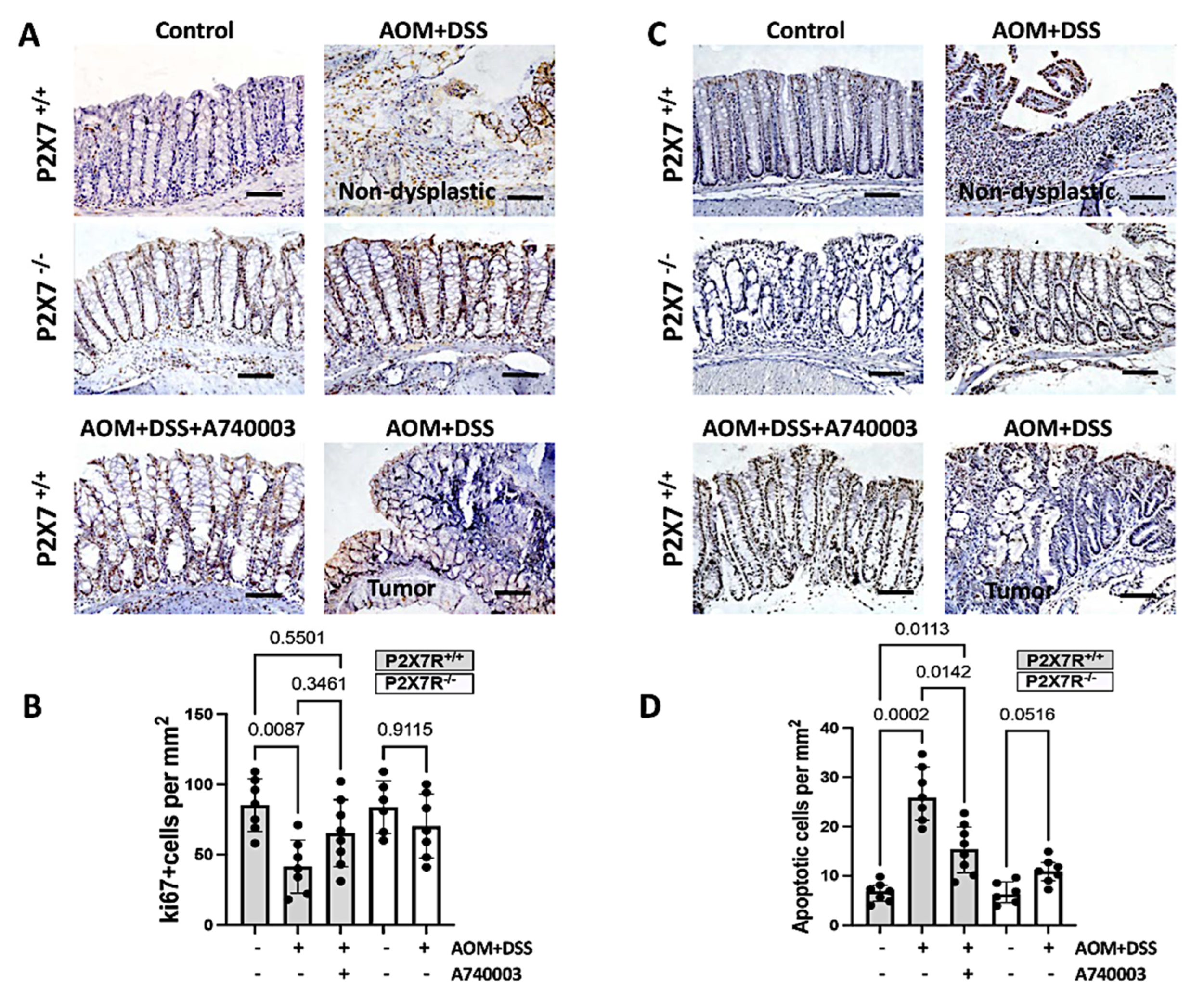 Ijms 23 04616 g003 550