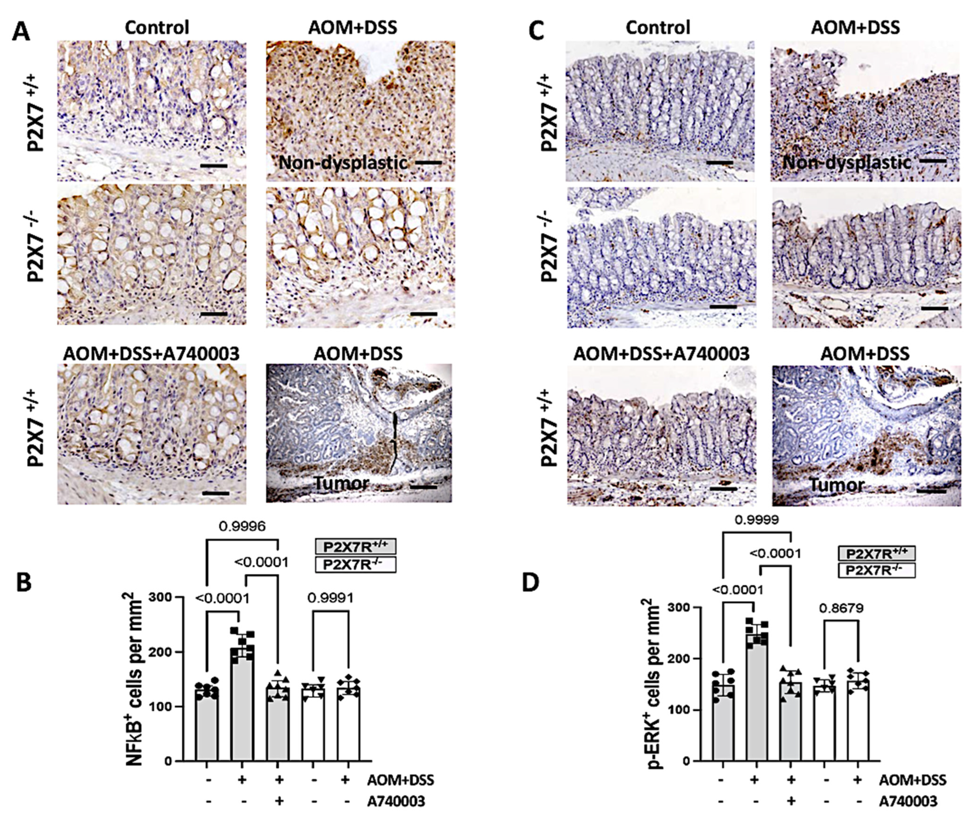 Ijms 23 04616 g006 550