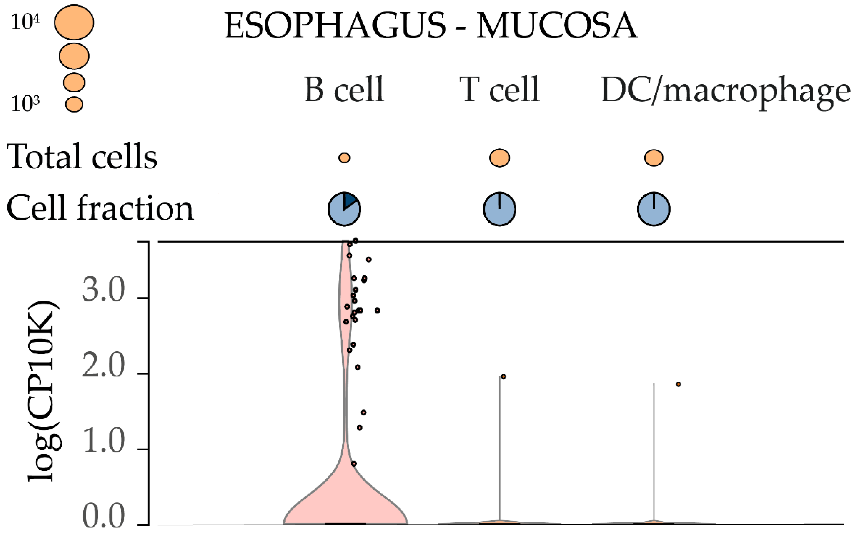Ijms 23 04624 g002 550