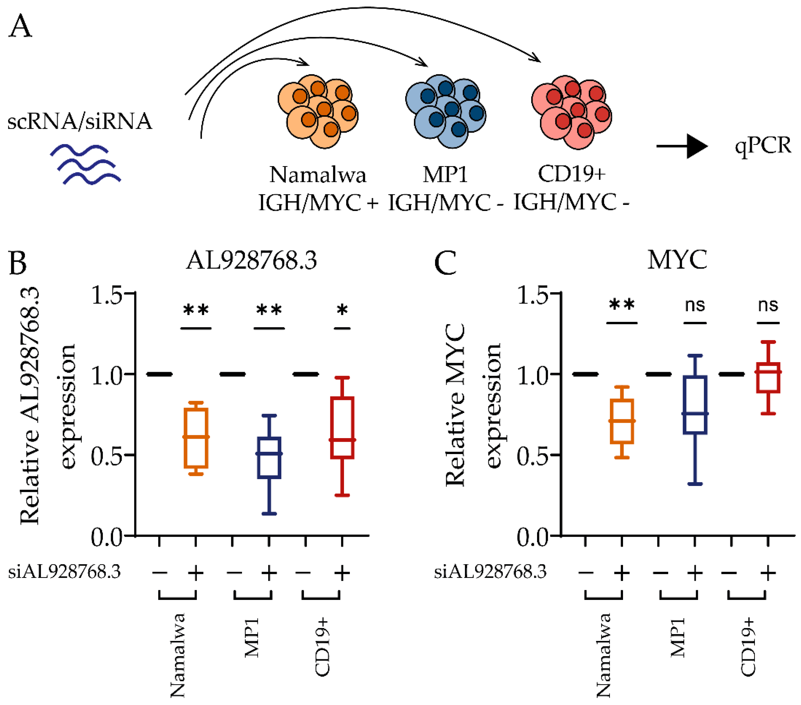 Ijms 23 04624 g004 550
