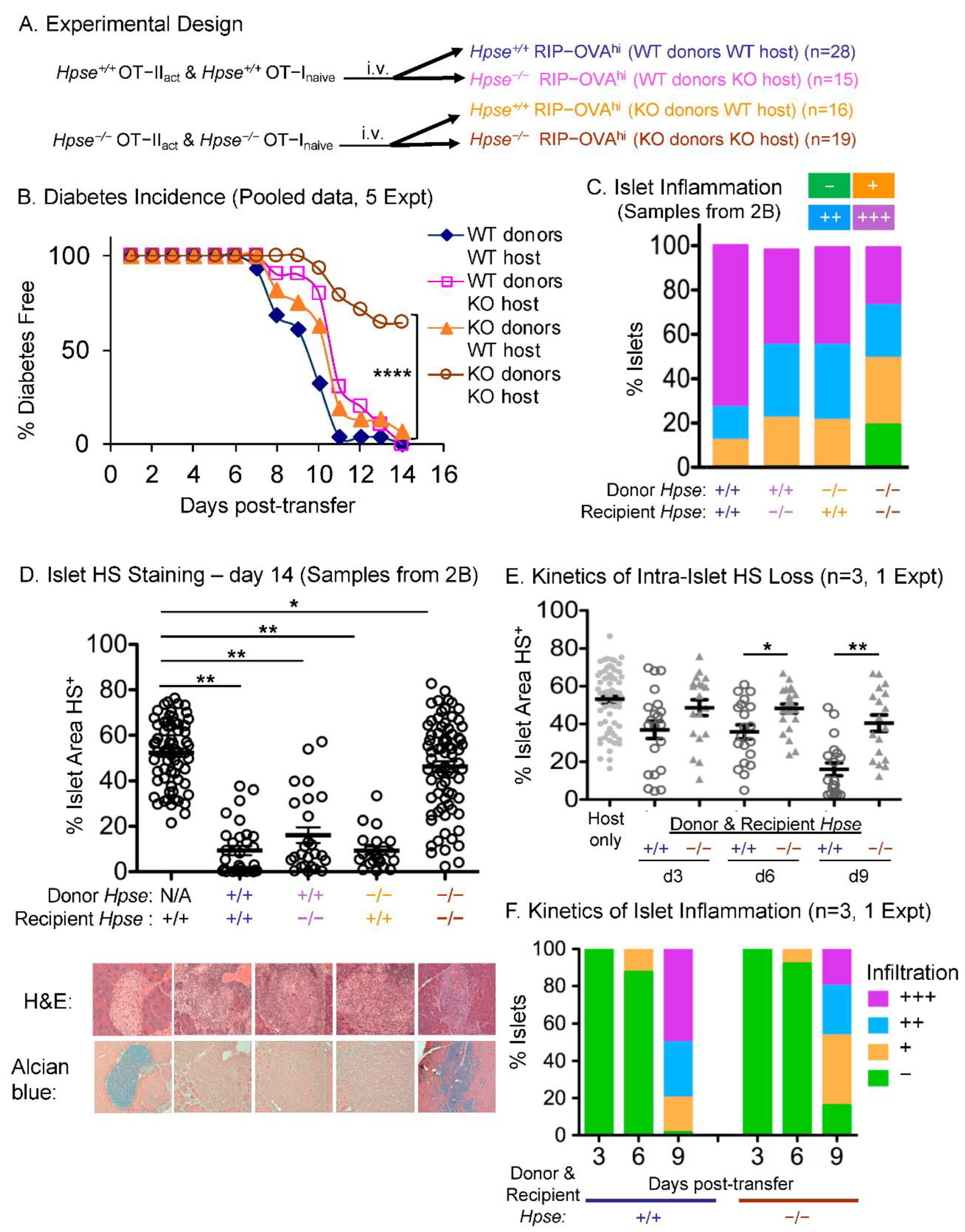 Ijms 23 04625 g002 550