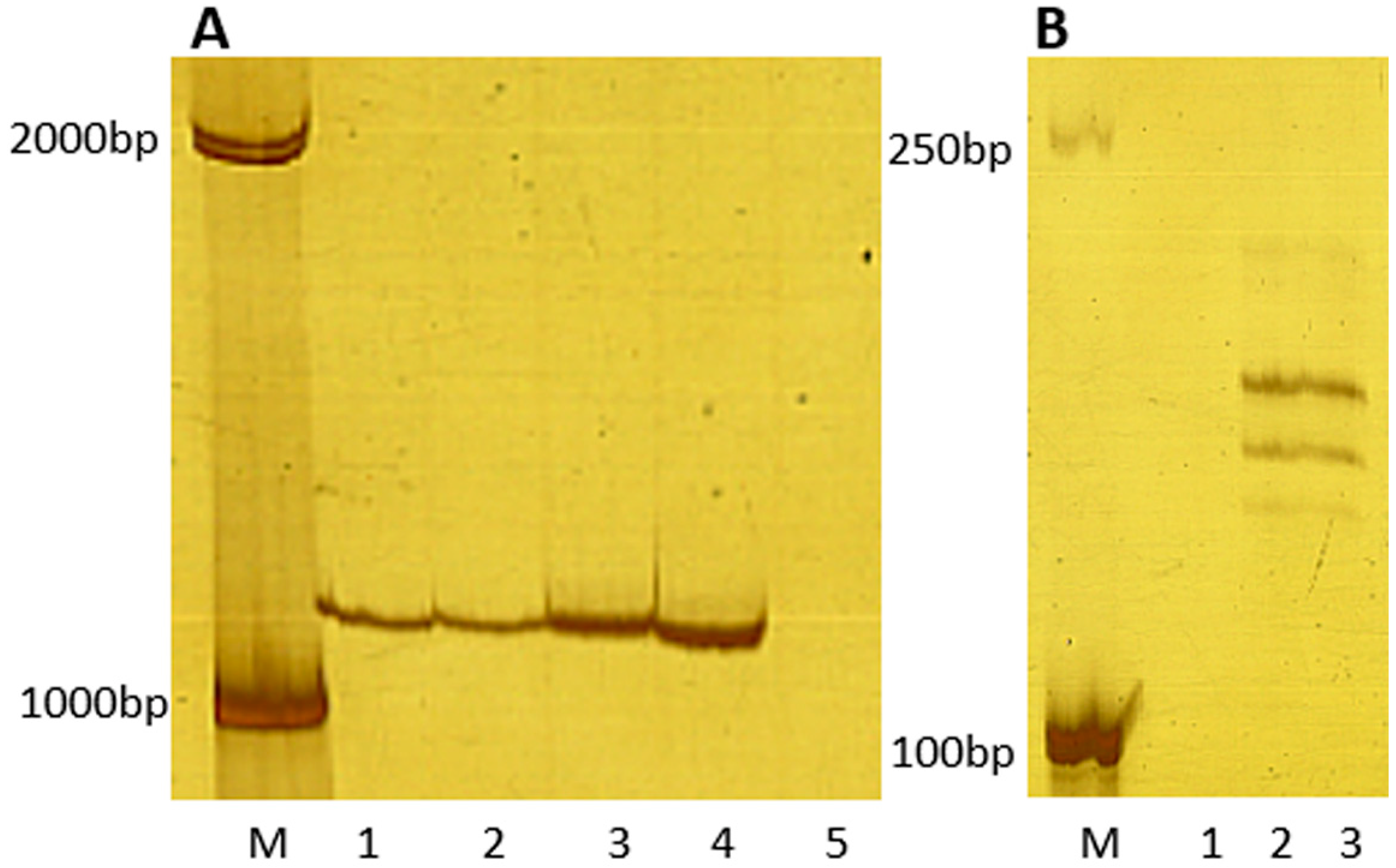 Ijms 23 04626 g003 550