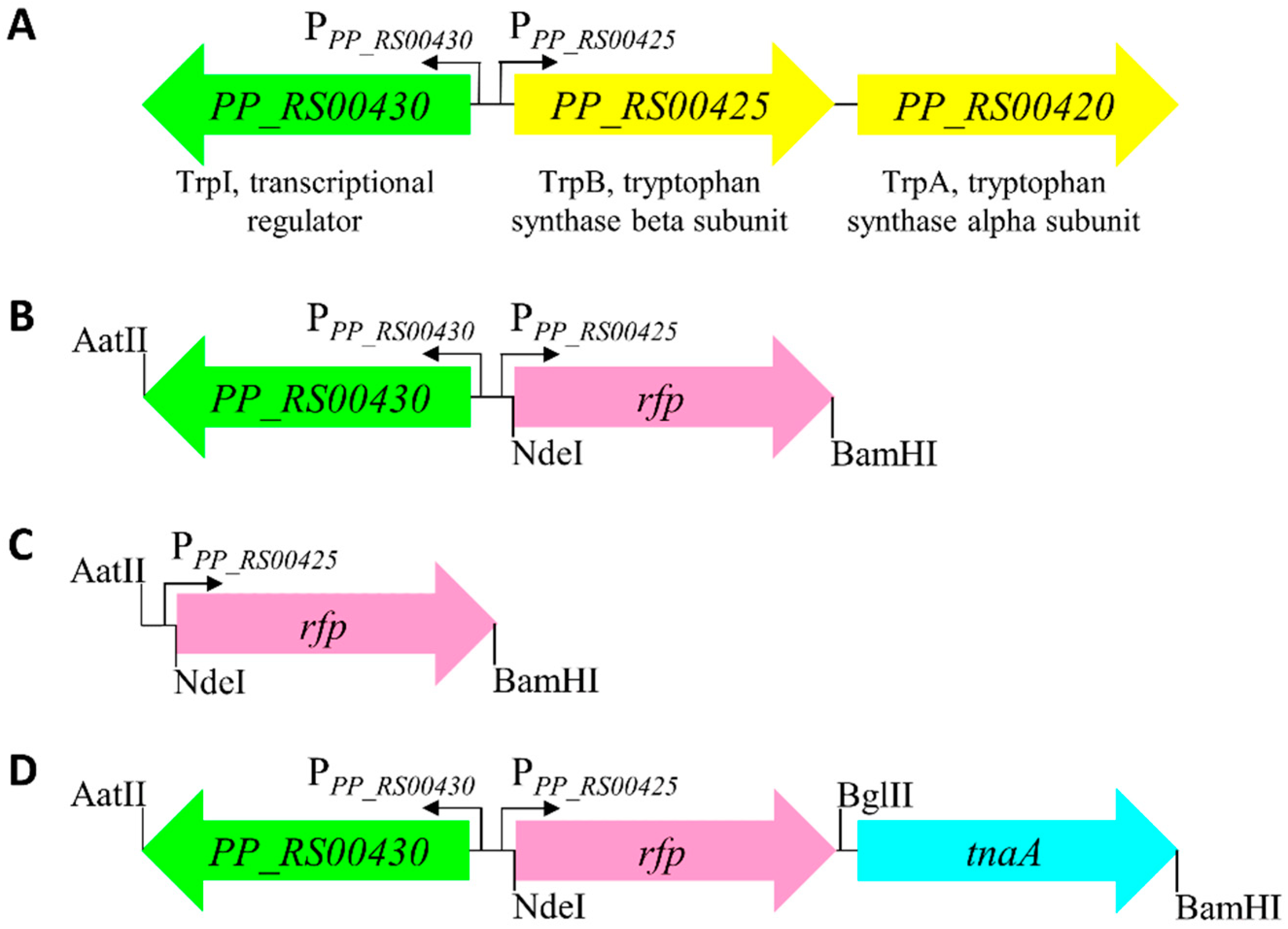 Indole - Wikipedia