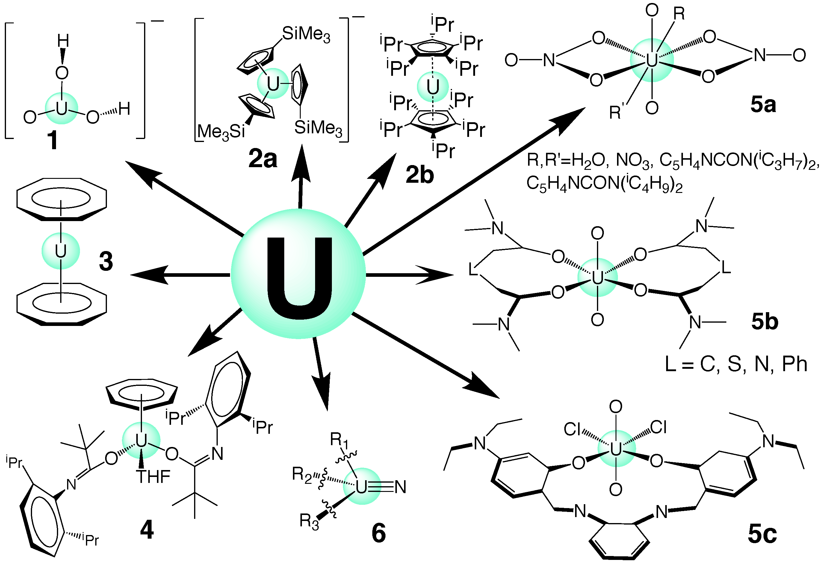 Ijms 23 04655 g003 Ijms 23 04655 g003