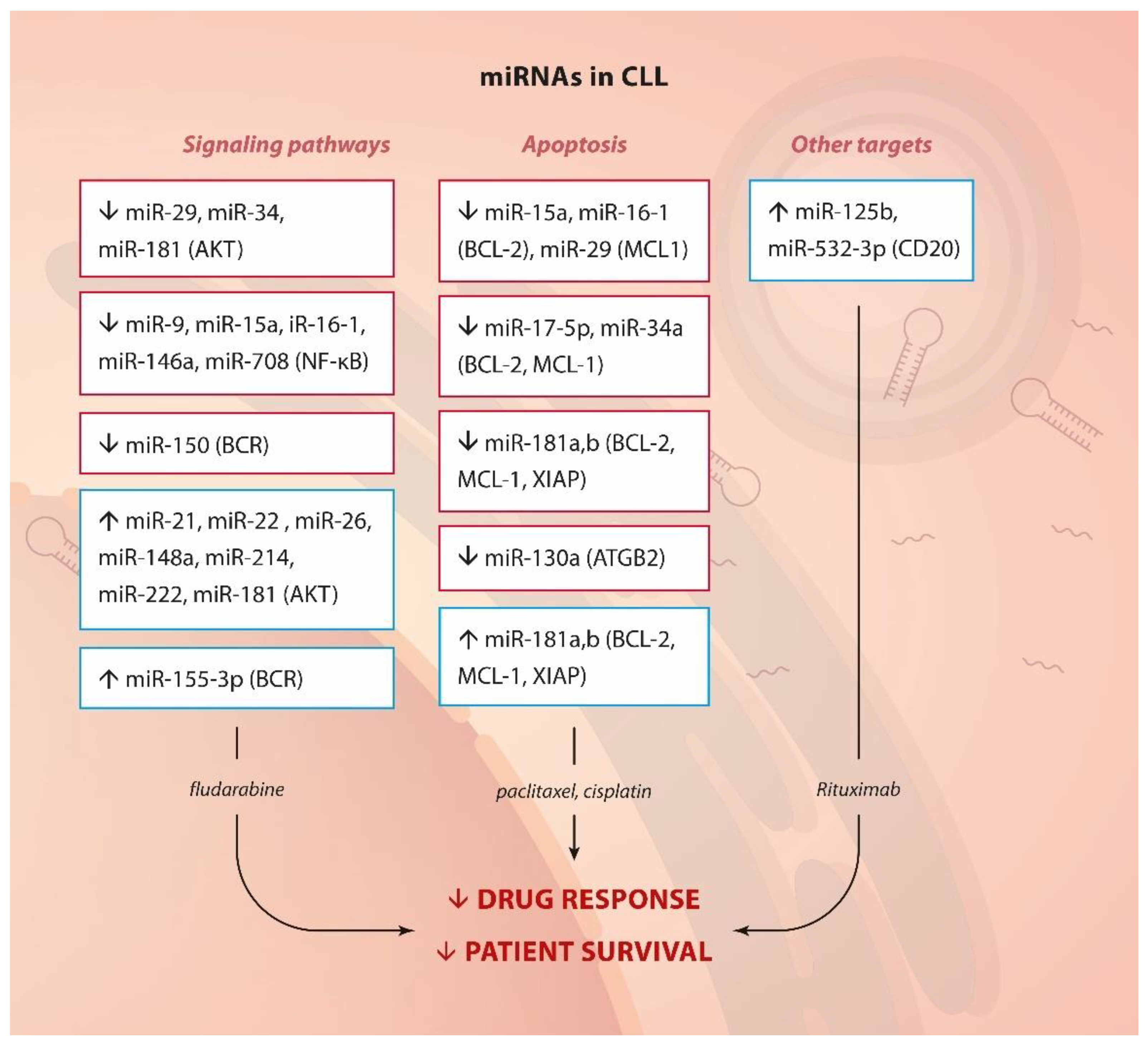 Ijms 23 04657 g003 Ijms 23 04657 g003