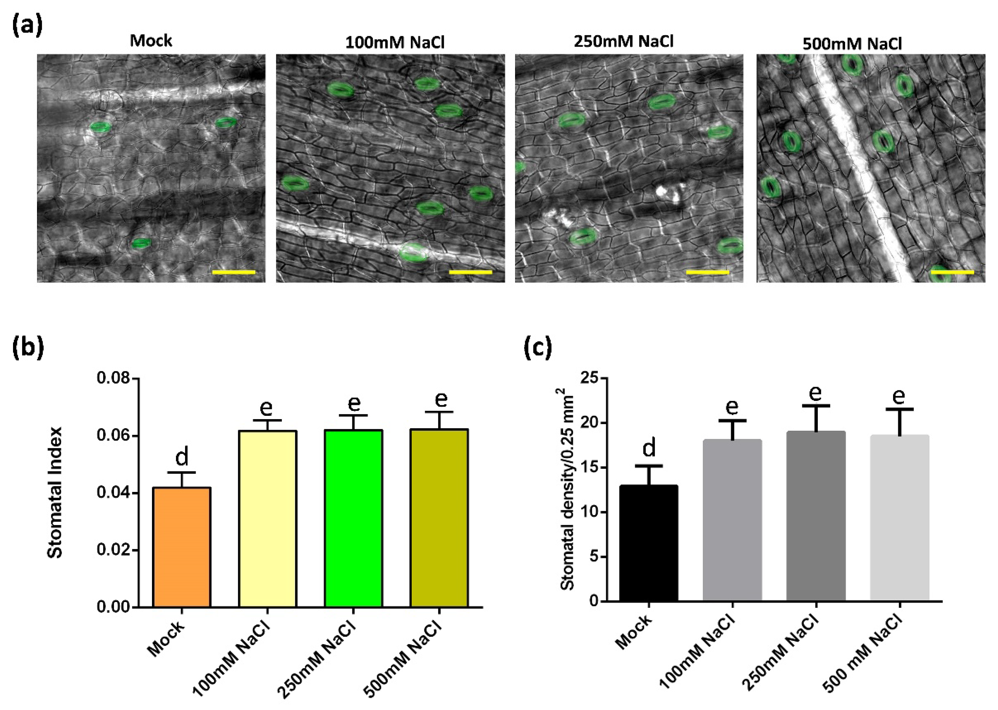 Ijms 23 04659 g002 550