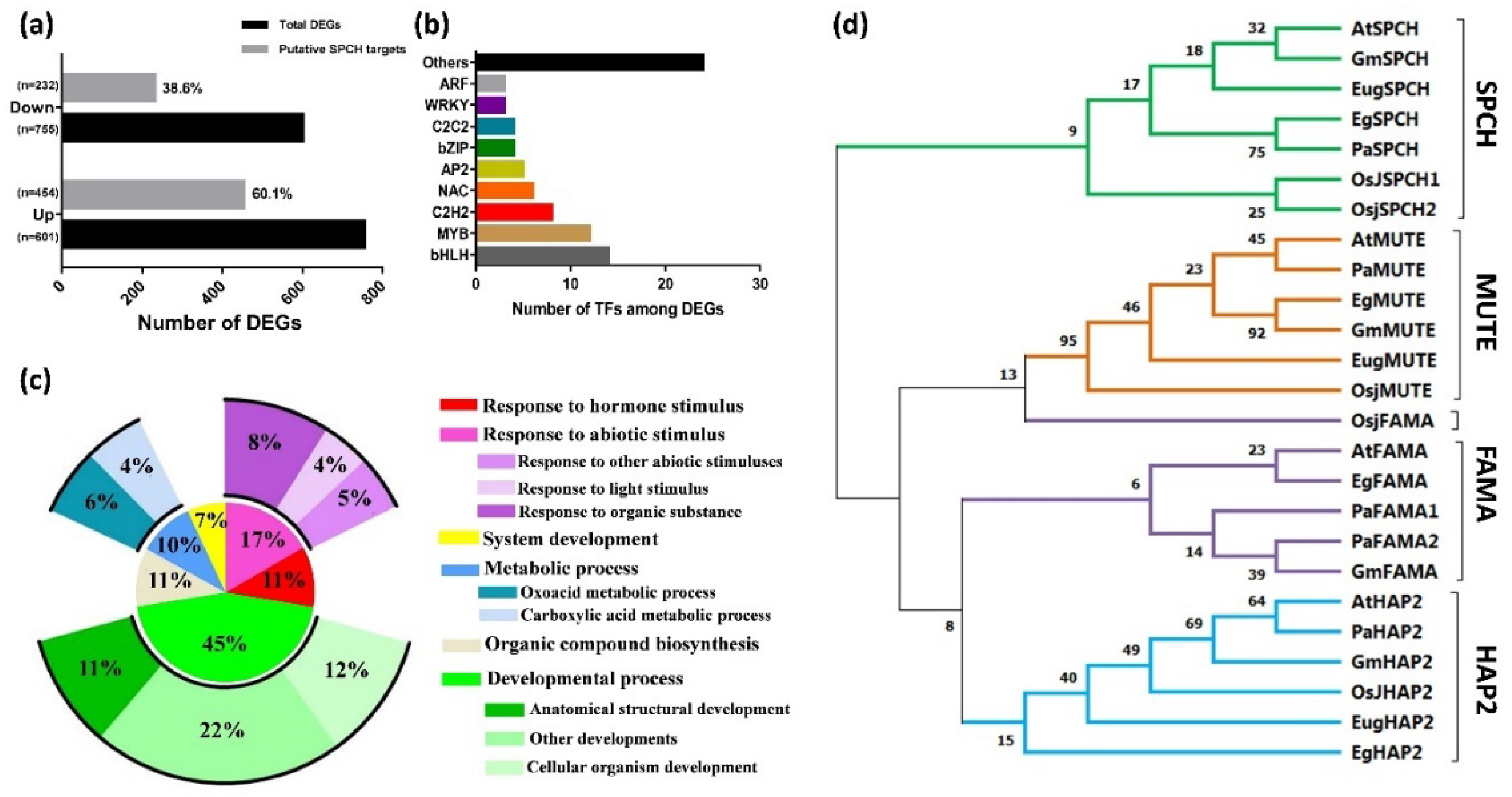 Ijms 23 04659 g004 550