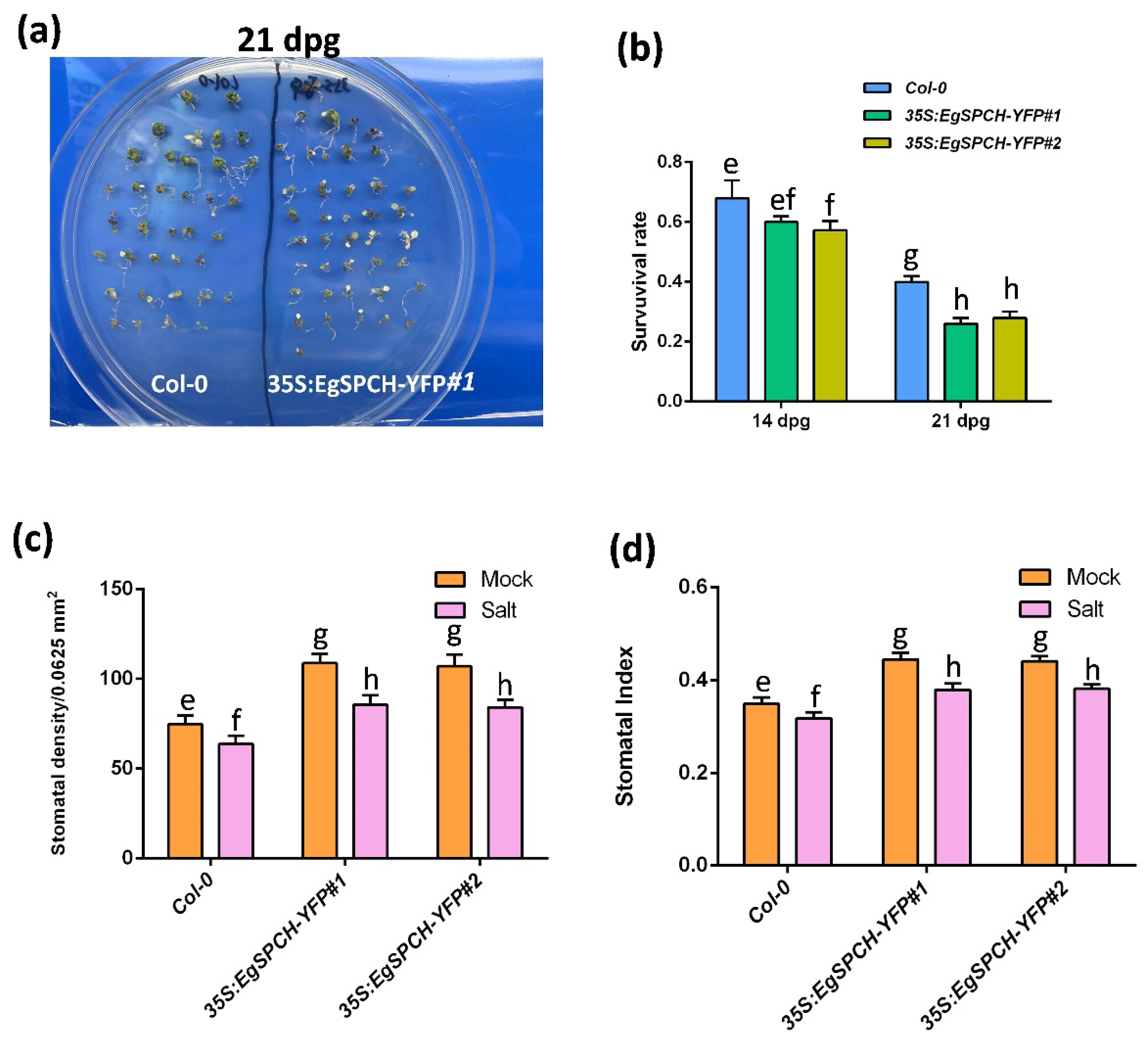 Ijms 23 04659 g006 550