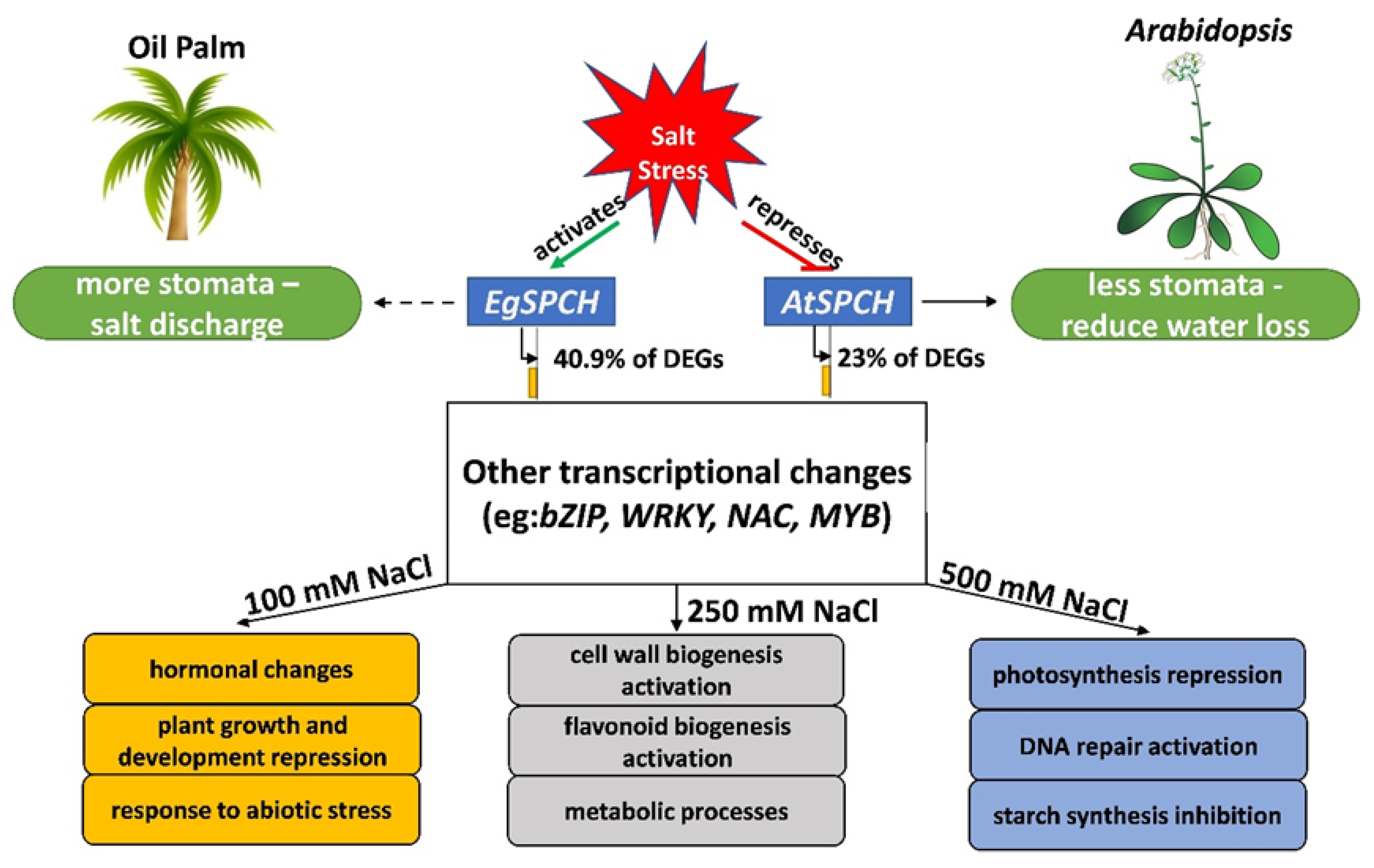 Ijms 23 04659 g007 550
