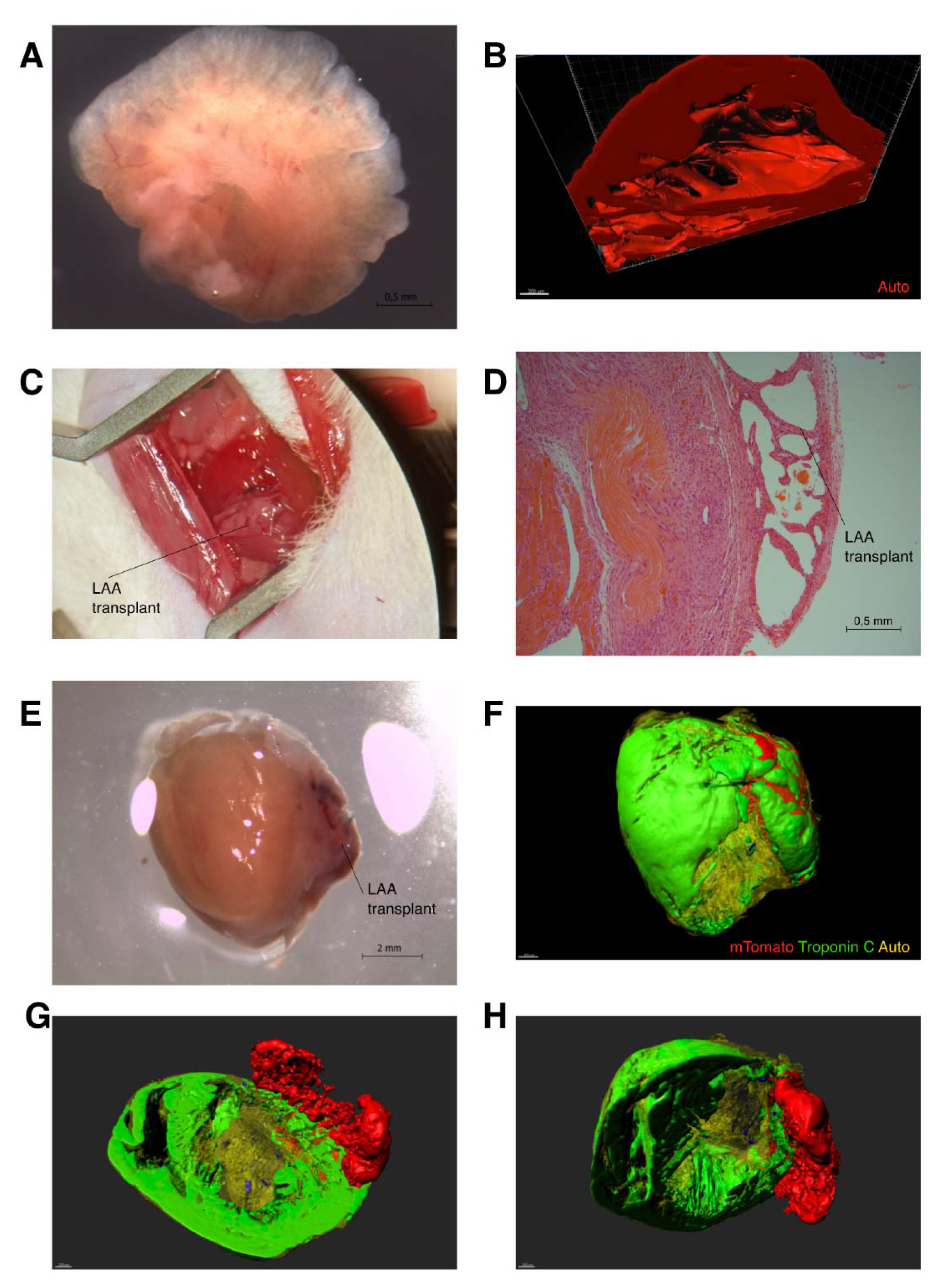 Ijms 23 04661 g001 550