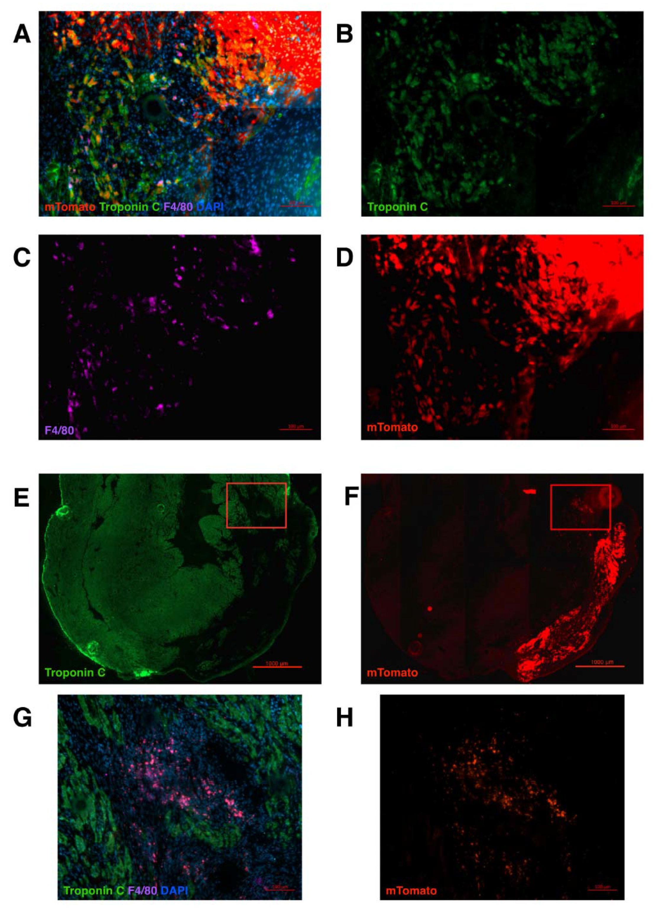 Ijms 23 04661 g002 550